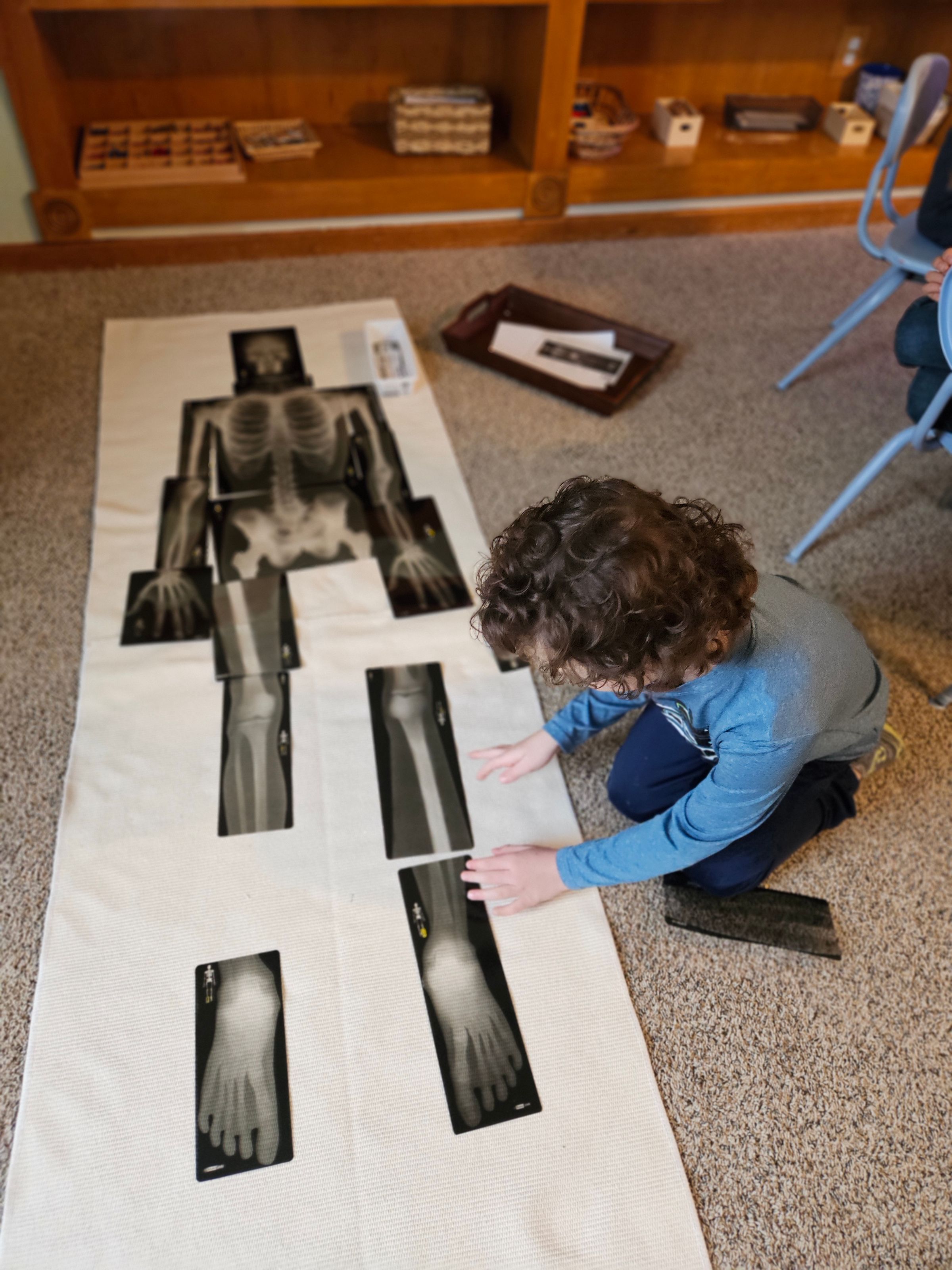 Private Montessori School's image