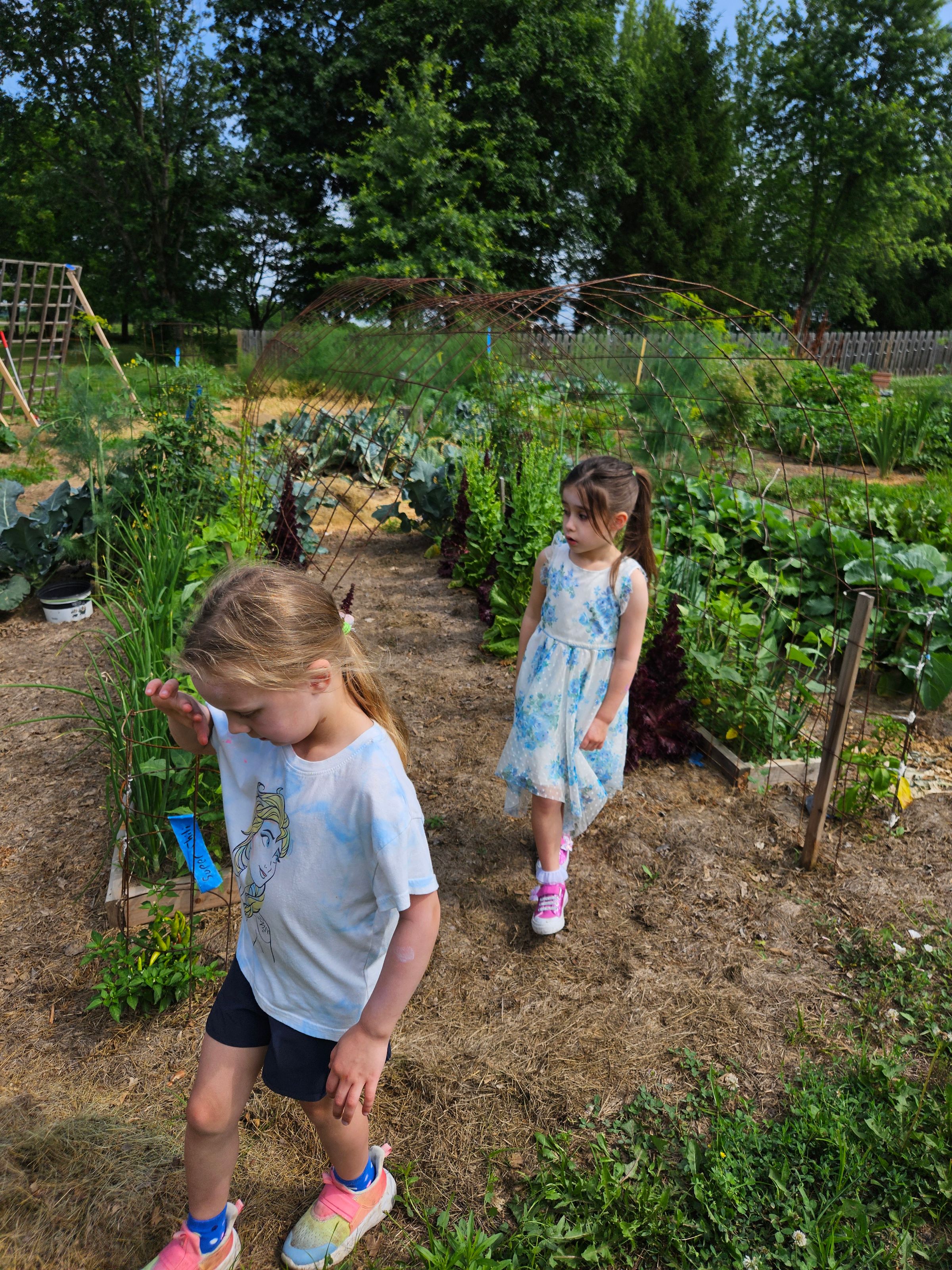 Private Montessori School's image