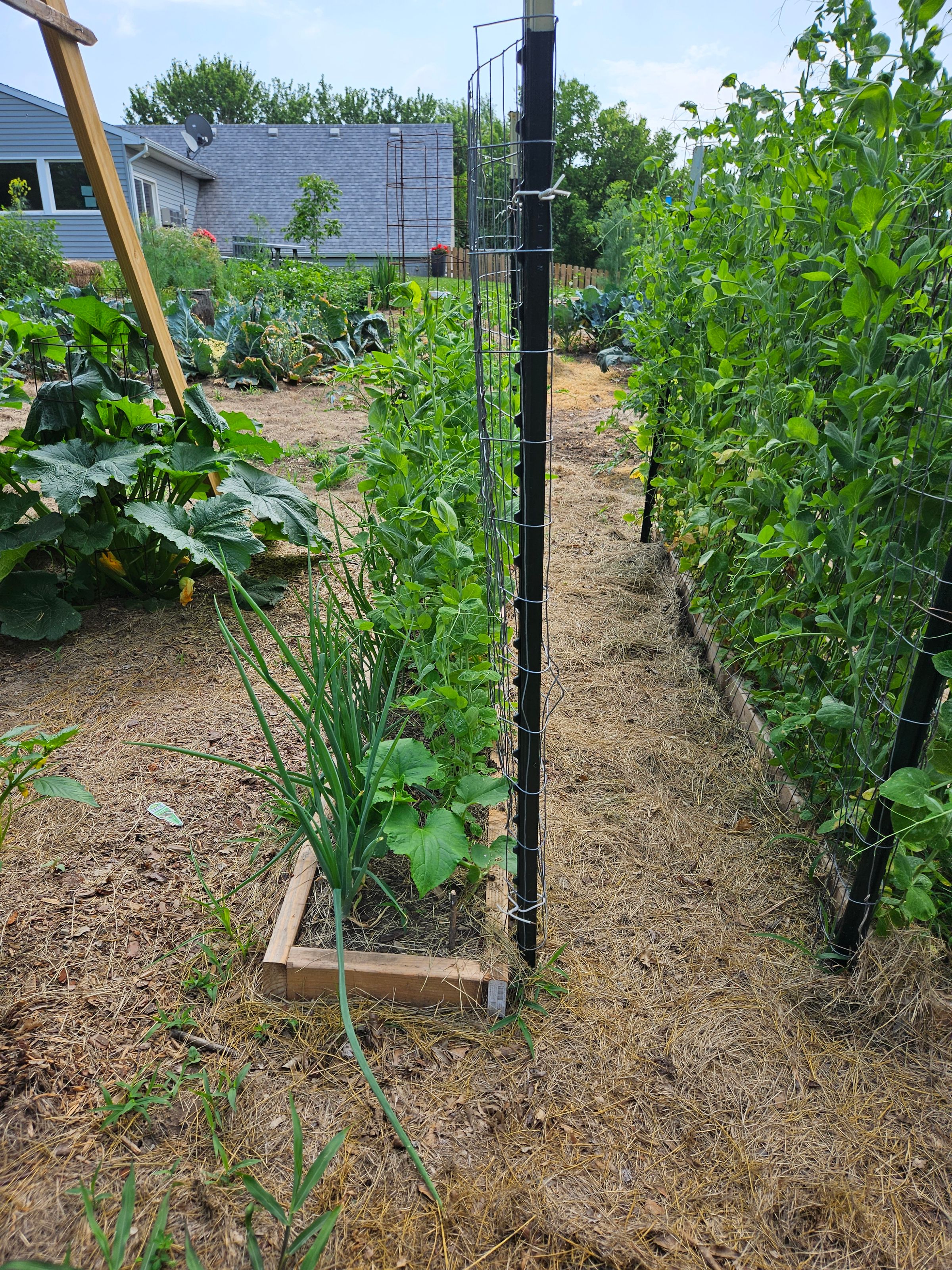 Private Montessori School's image