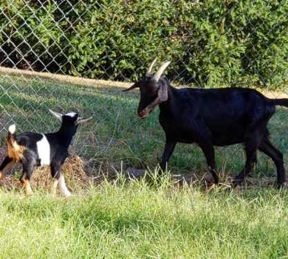 Private Montessori School's image