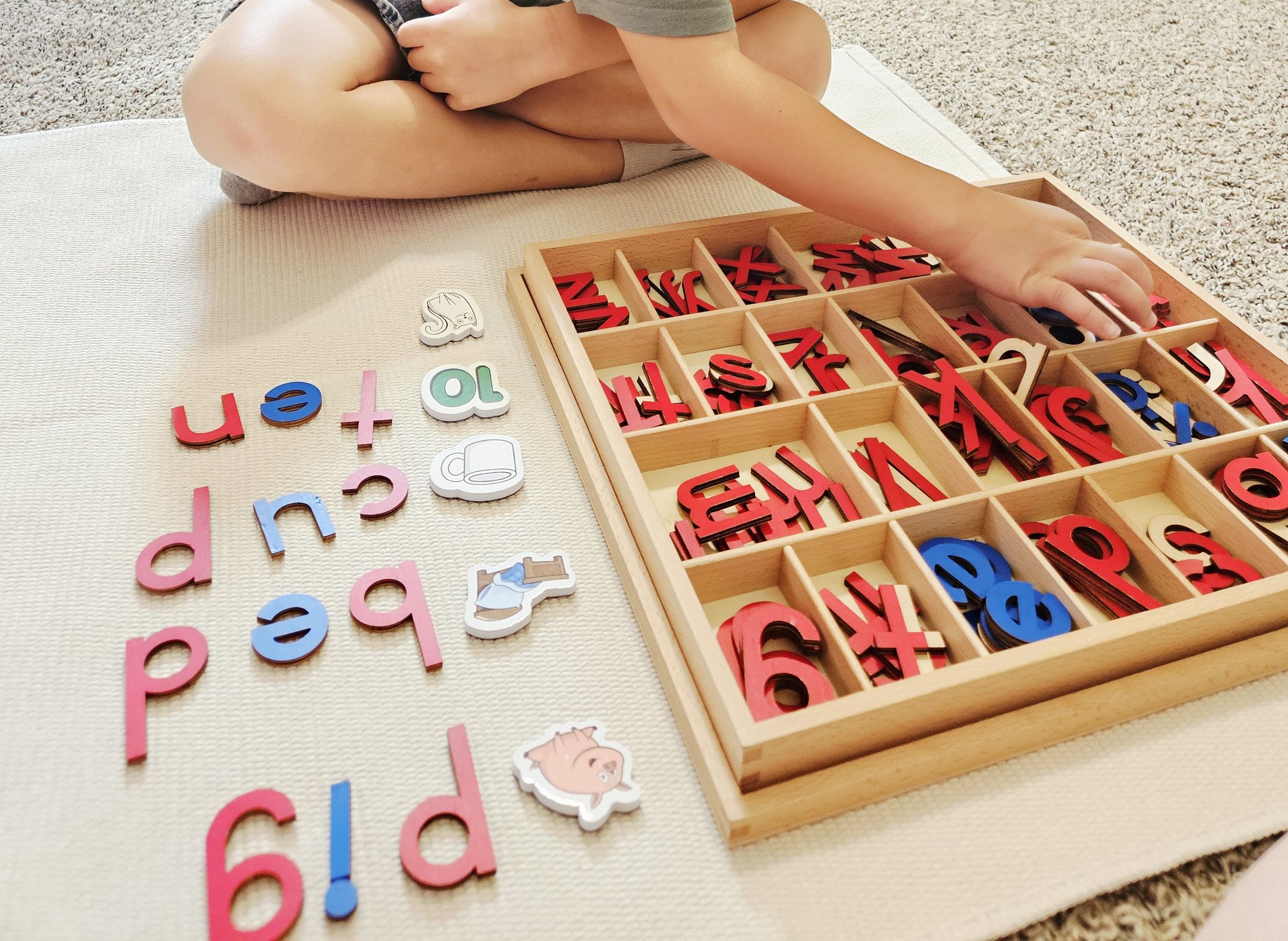 Private Montessori School's image