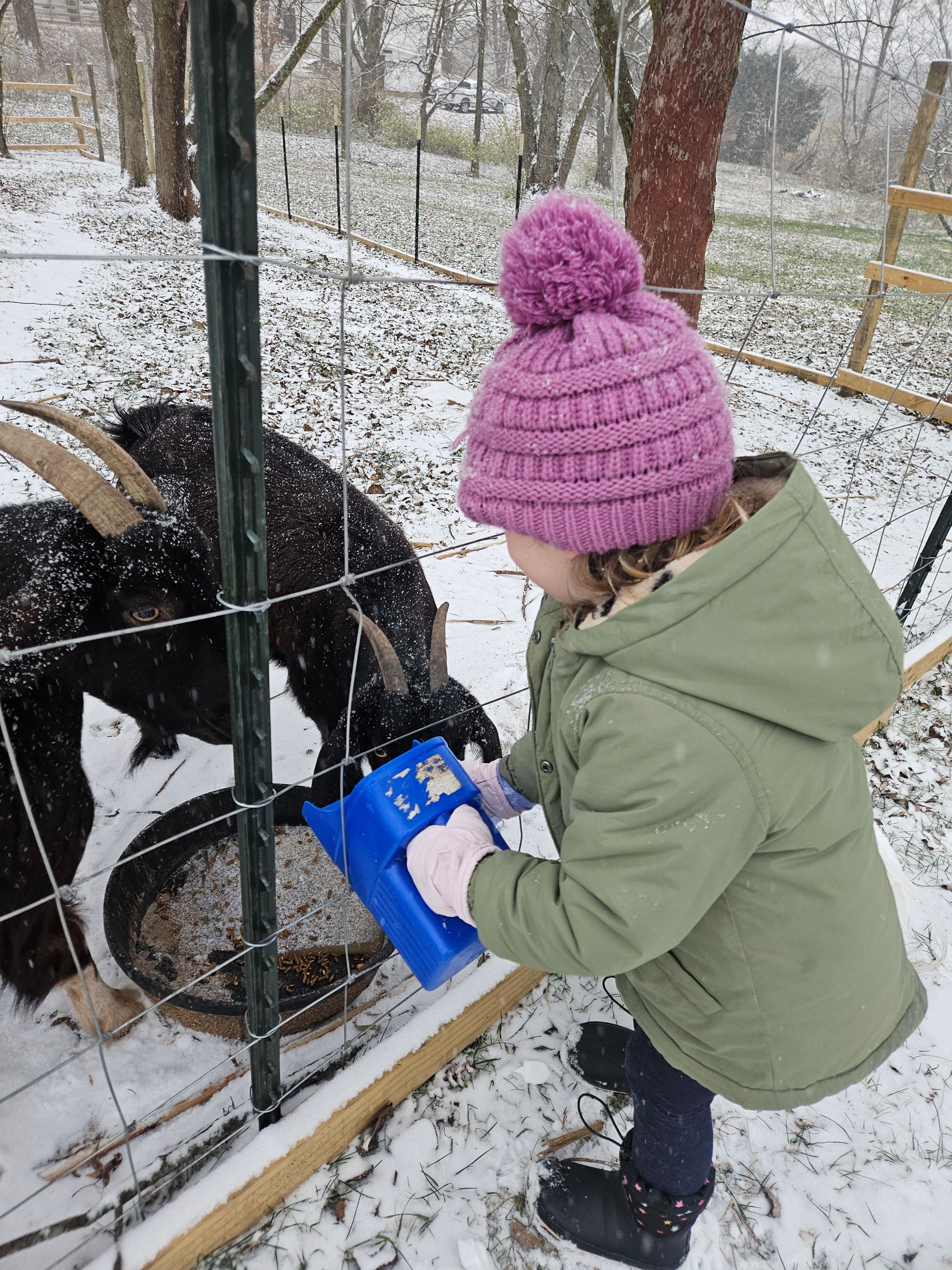 Private Montessori School's image