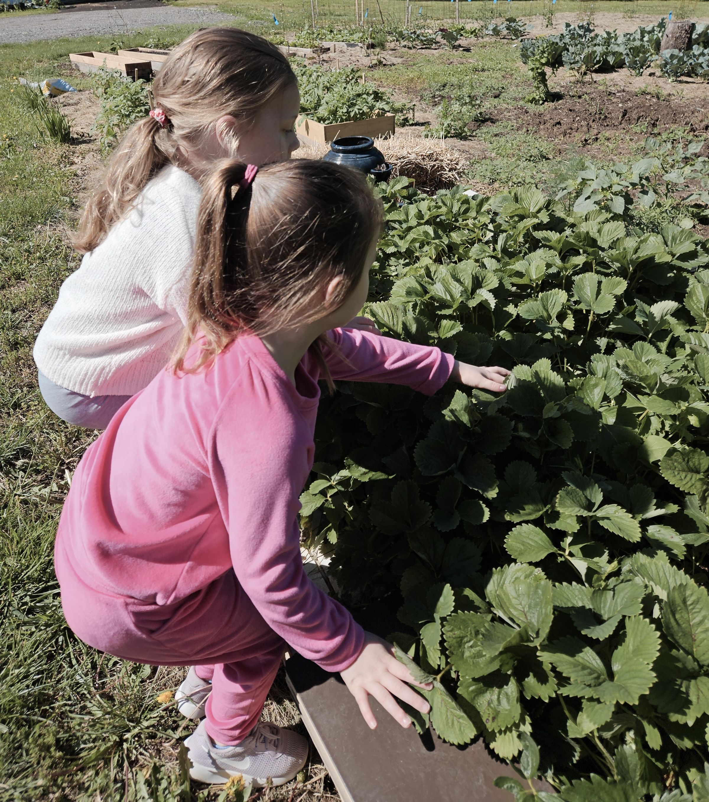 Private Montessori School's image