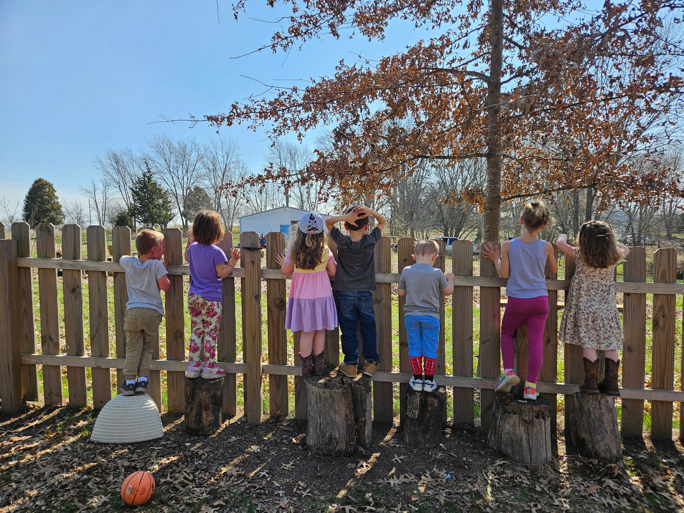 Private Montessori School's image