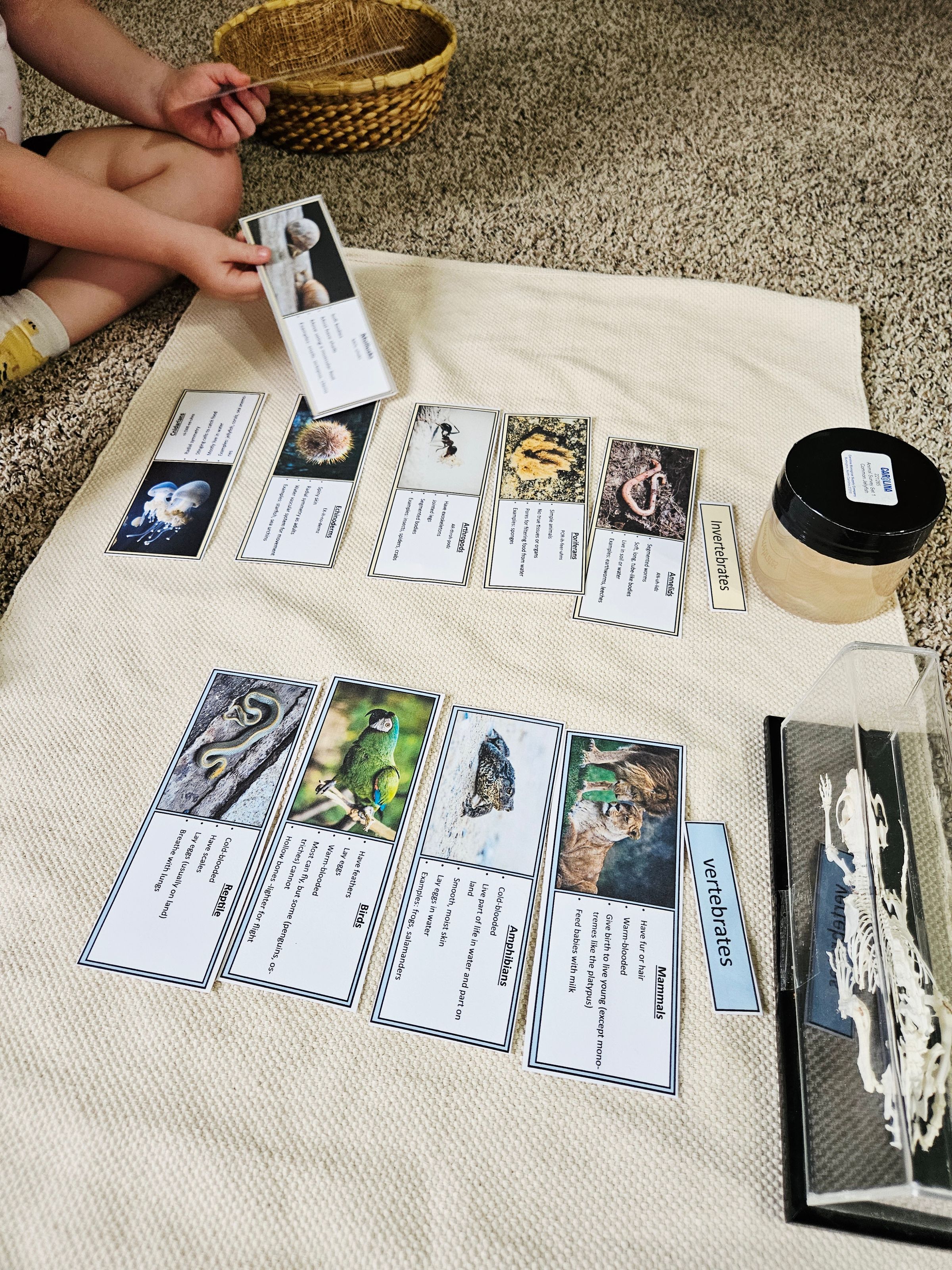 Private Montessori School's image