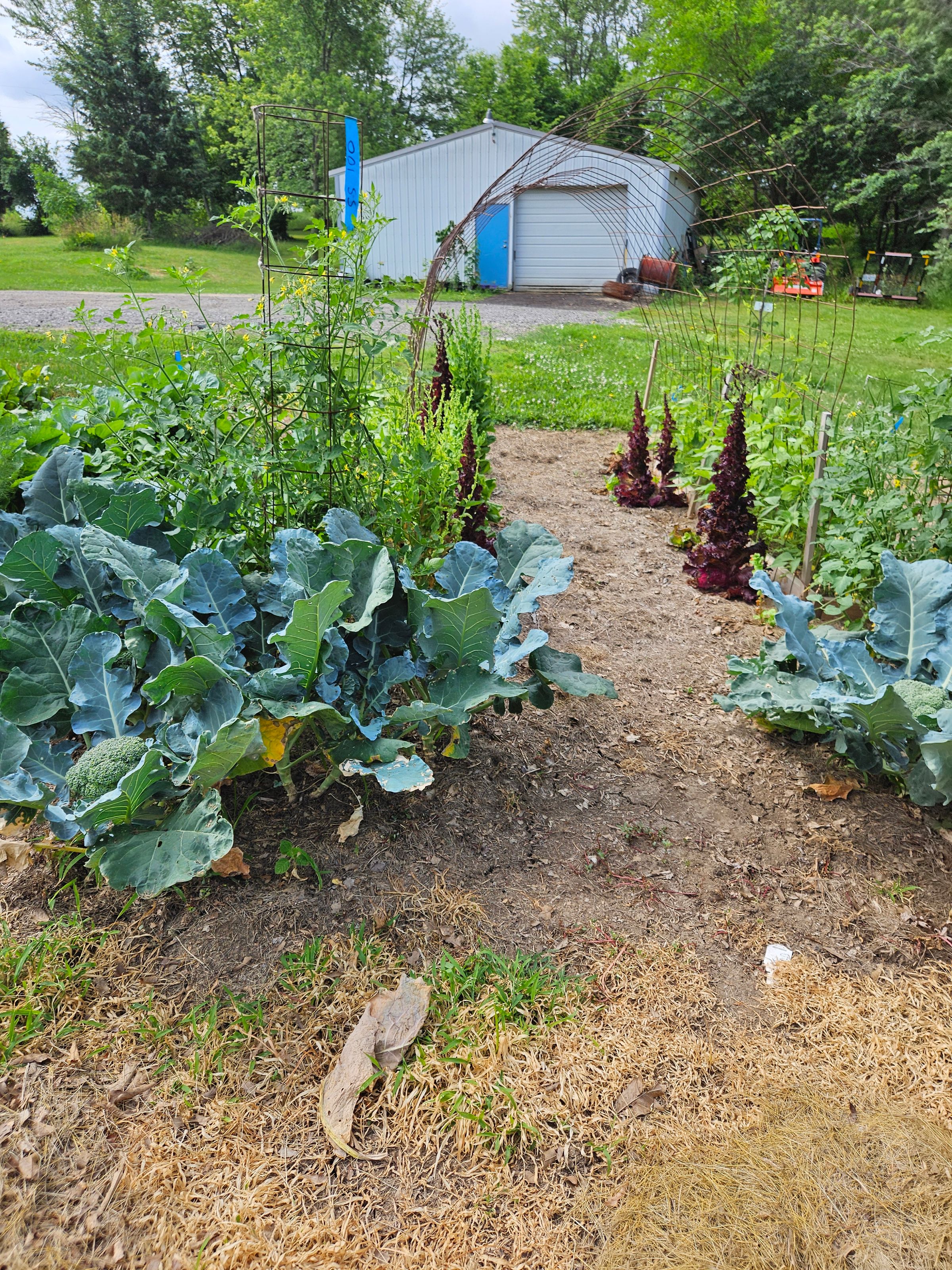 Private Montessori School's image