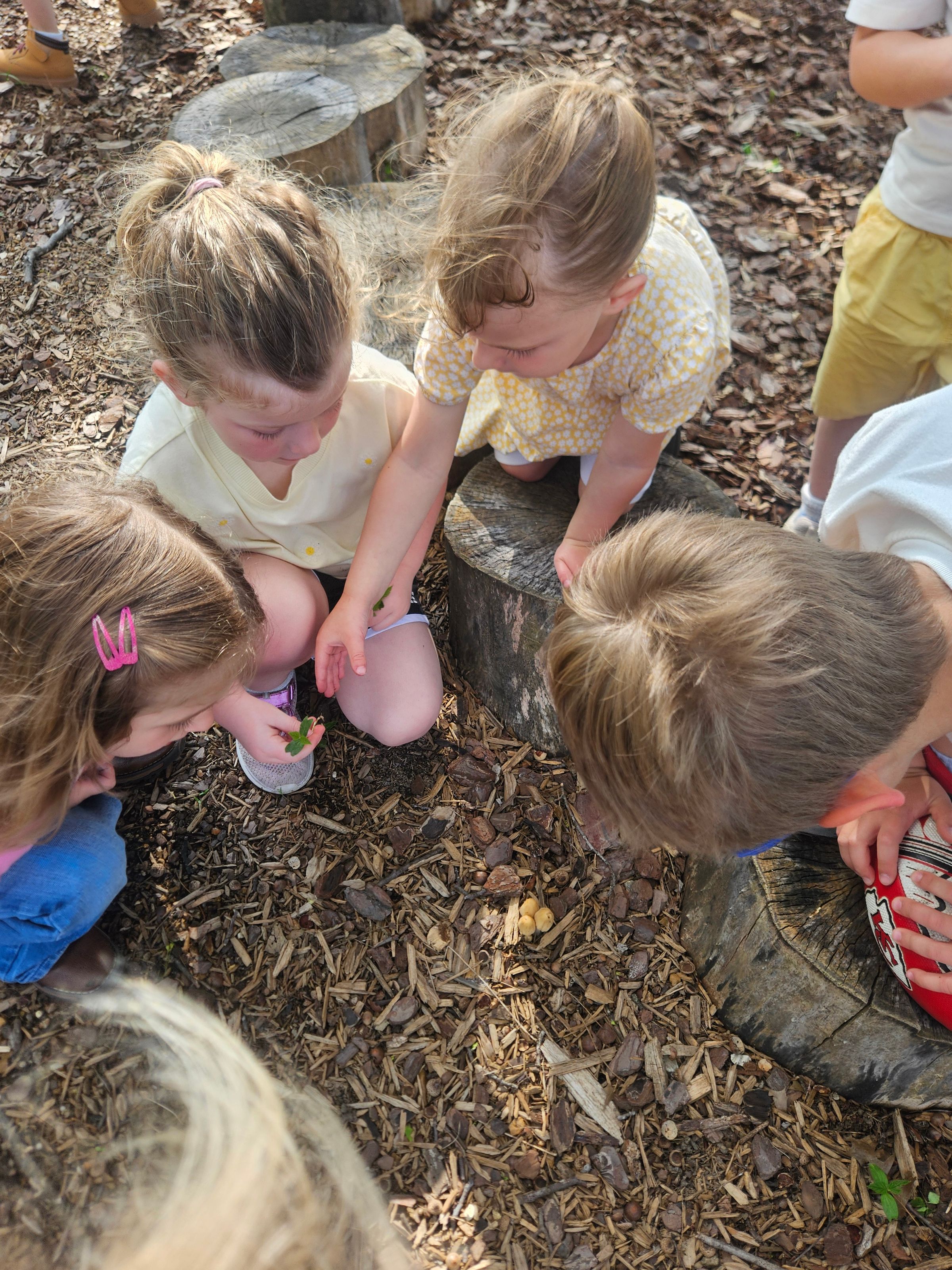Private Montessori School's image