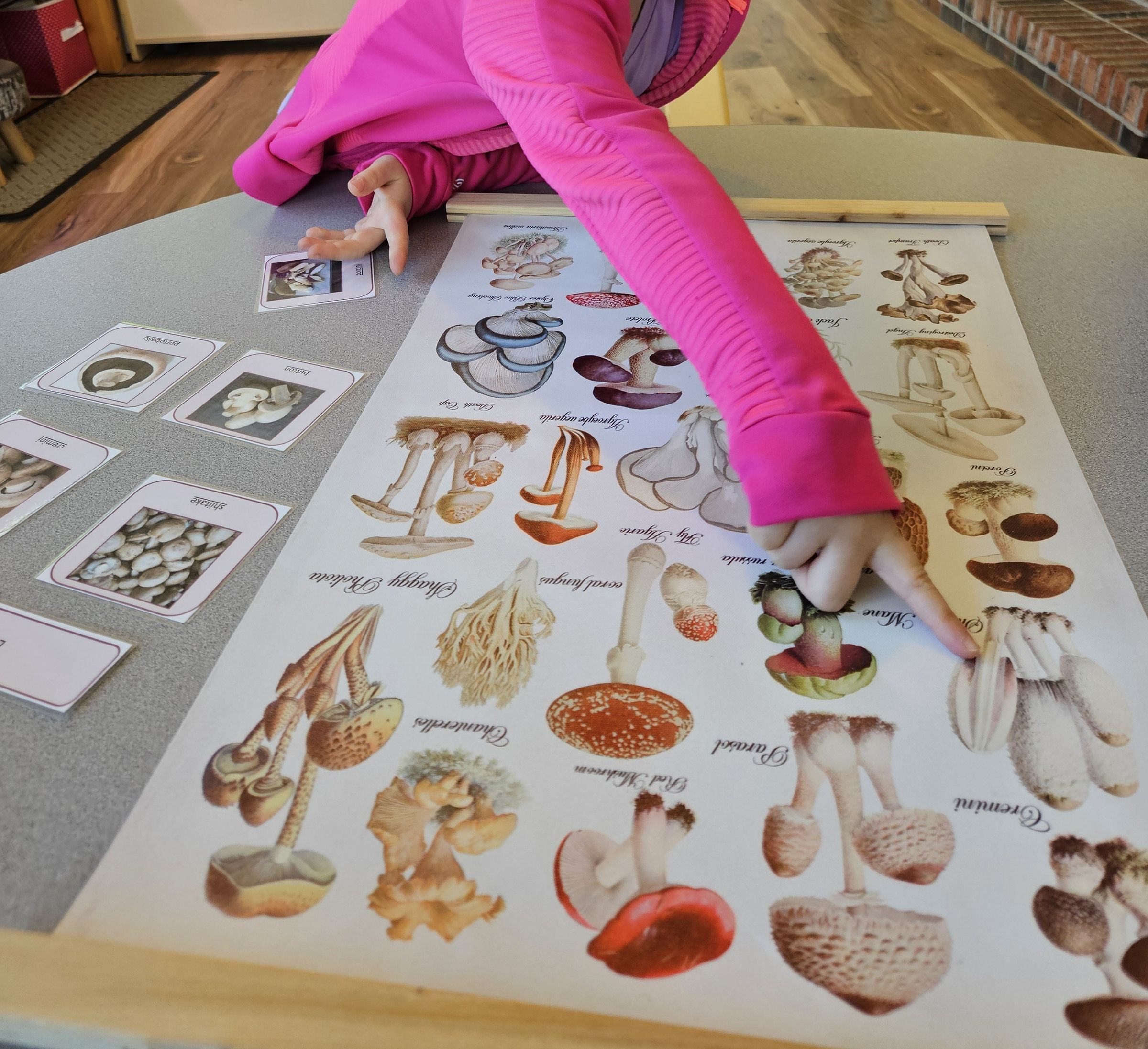 Private Montessori School's image