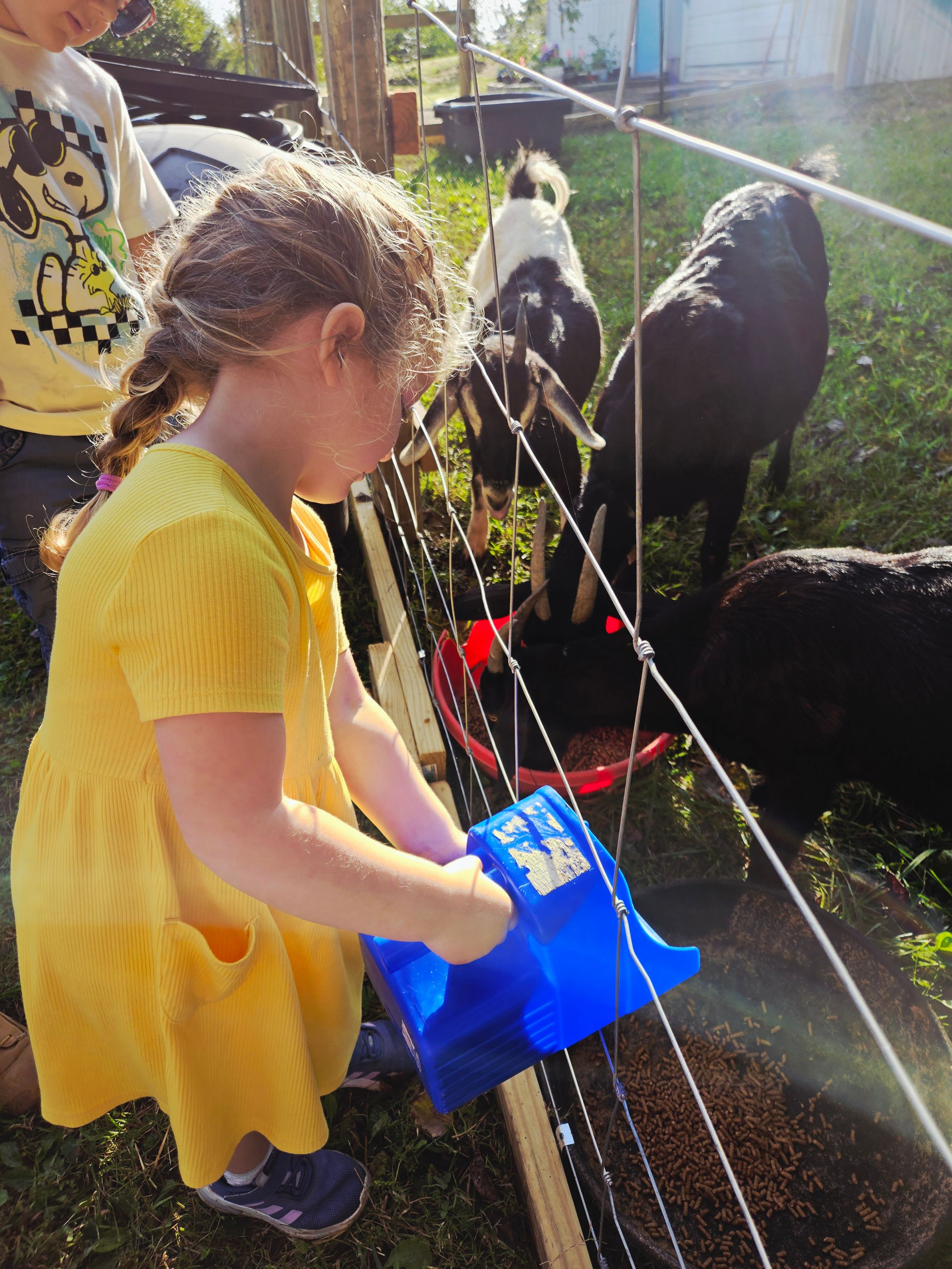 Private Montessori School's image