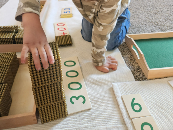 Private Montessori School's image