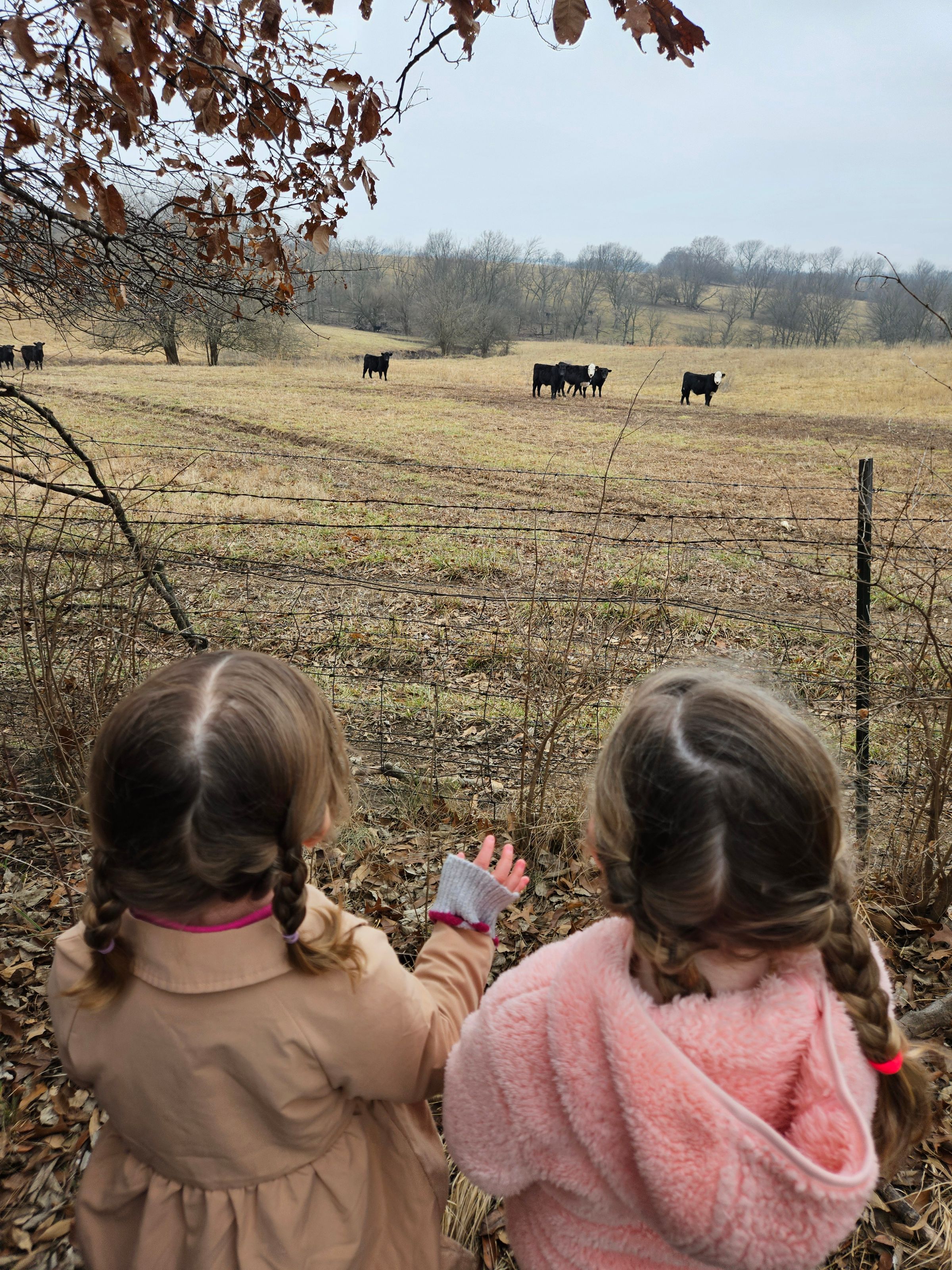 Private Montessori School's image