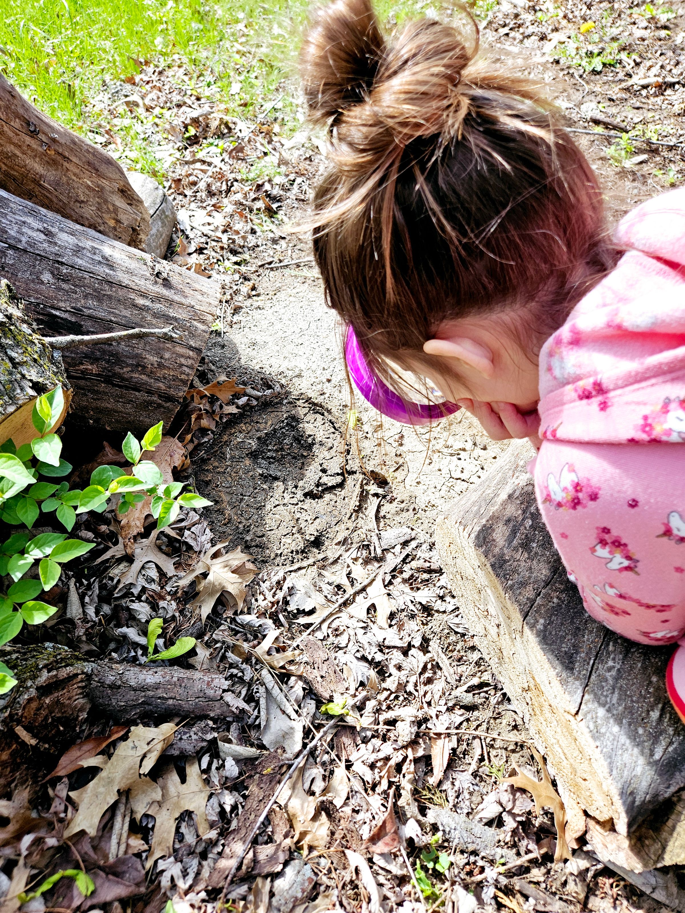 Private Montessori School's image