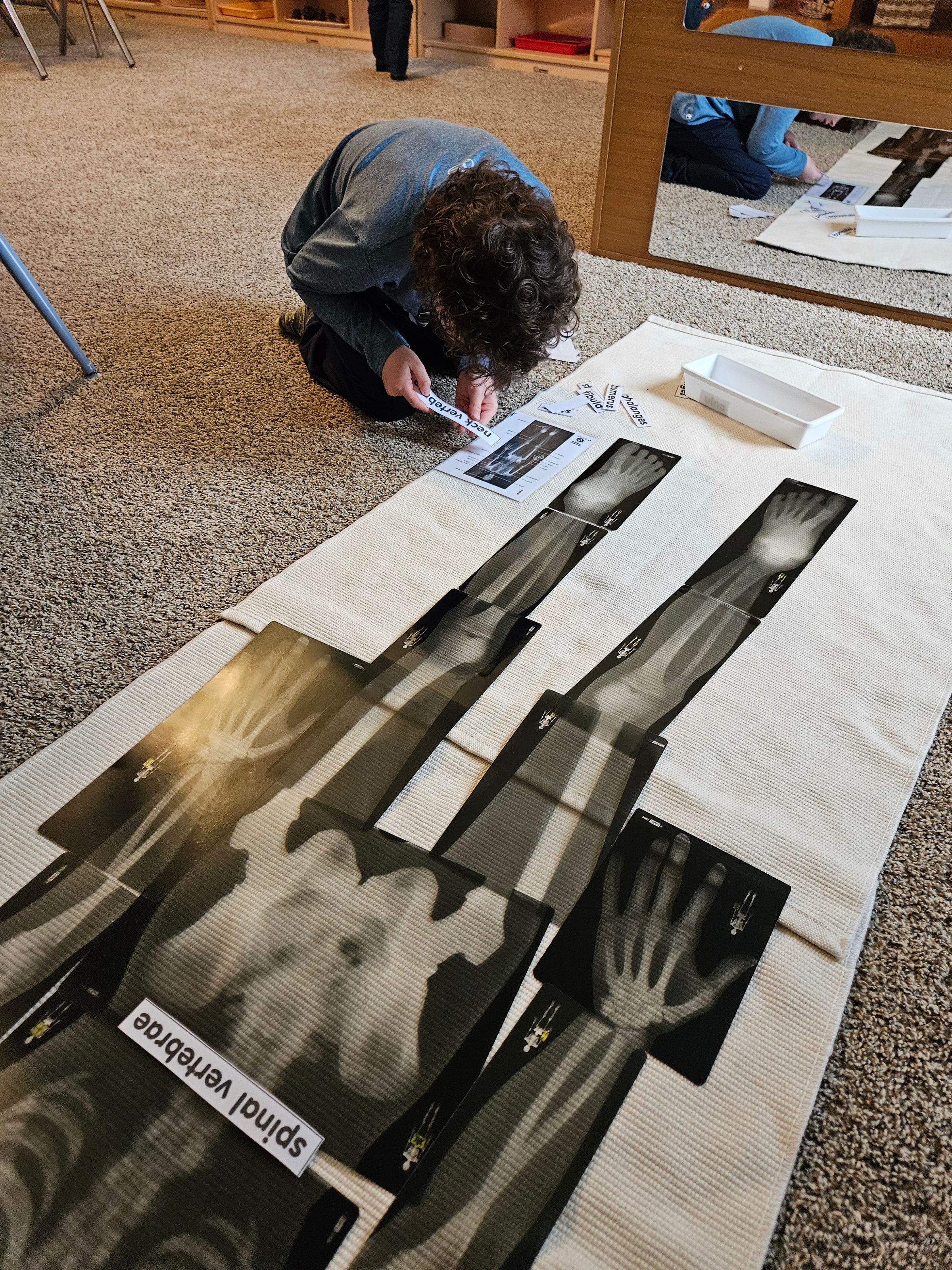 Private Montessori School's image