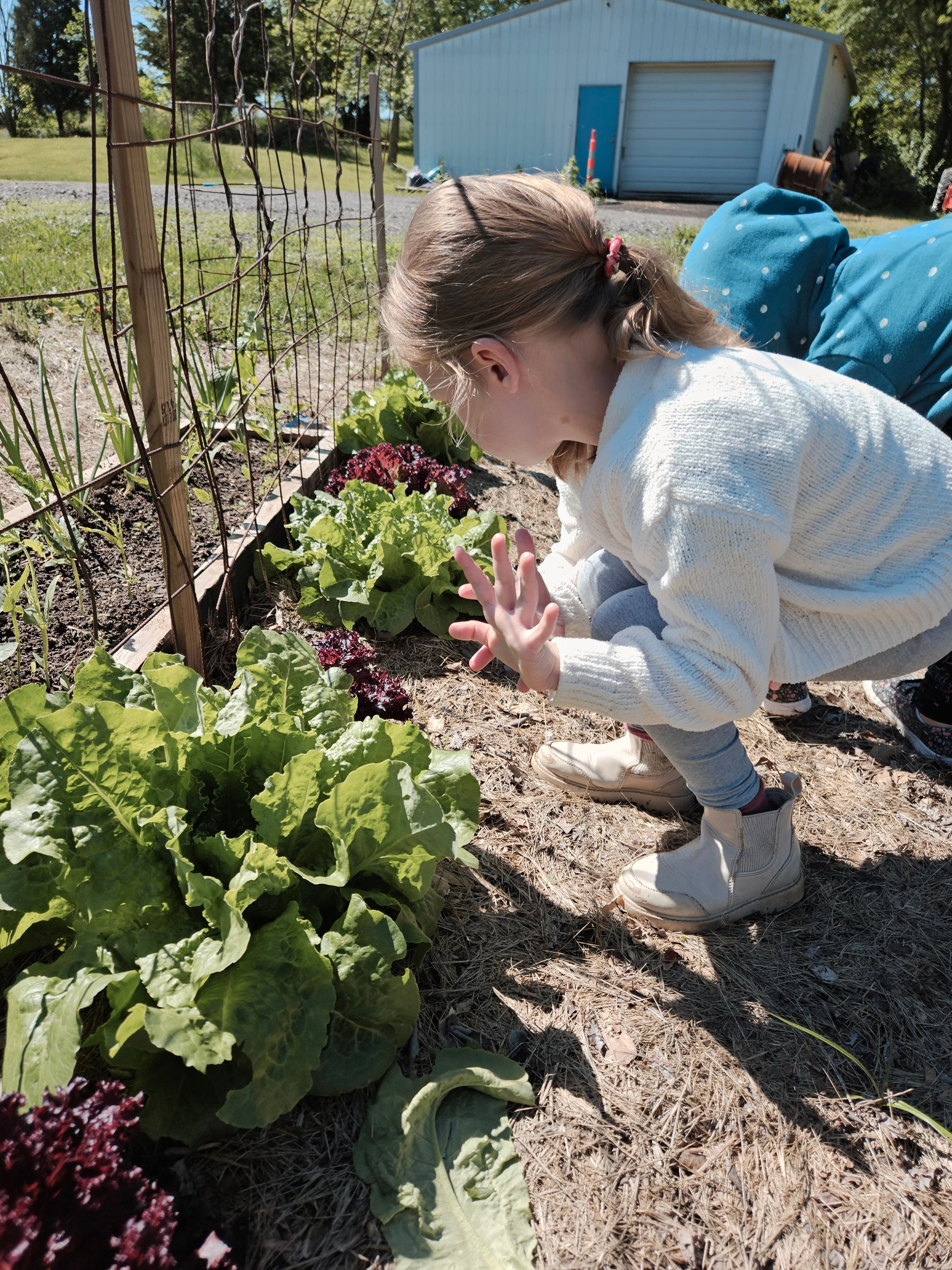 Private Montessori School's image