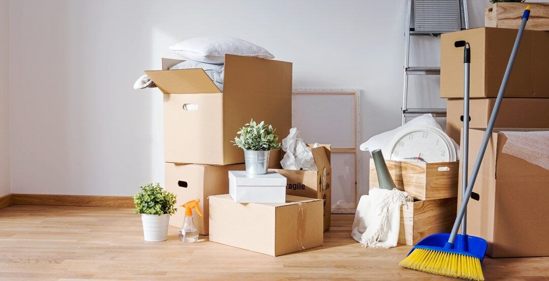 PERRIE8 CLEANING SERVICE's image