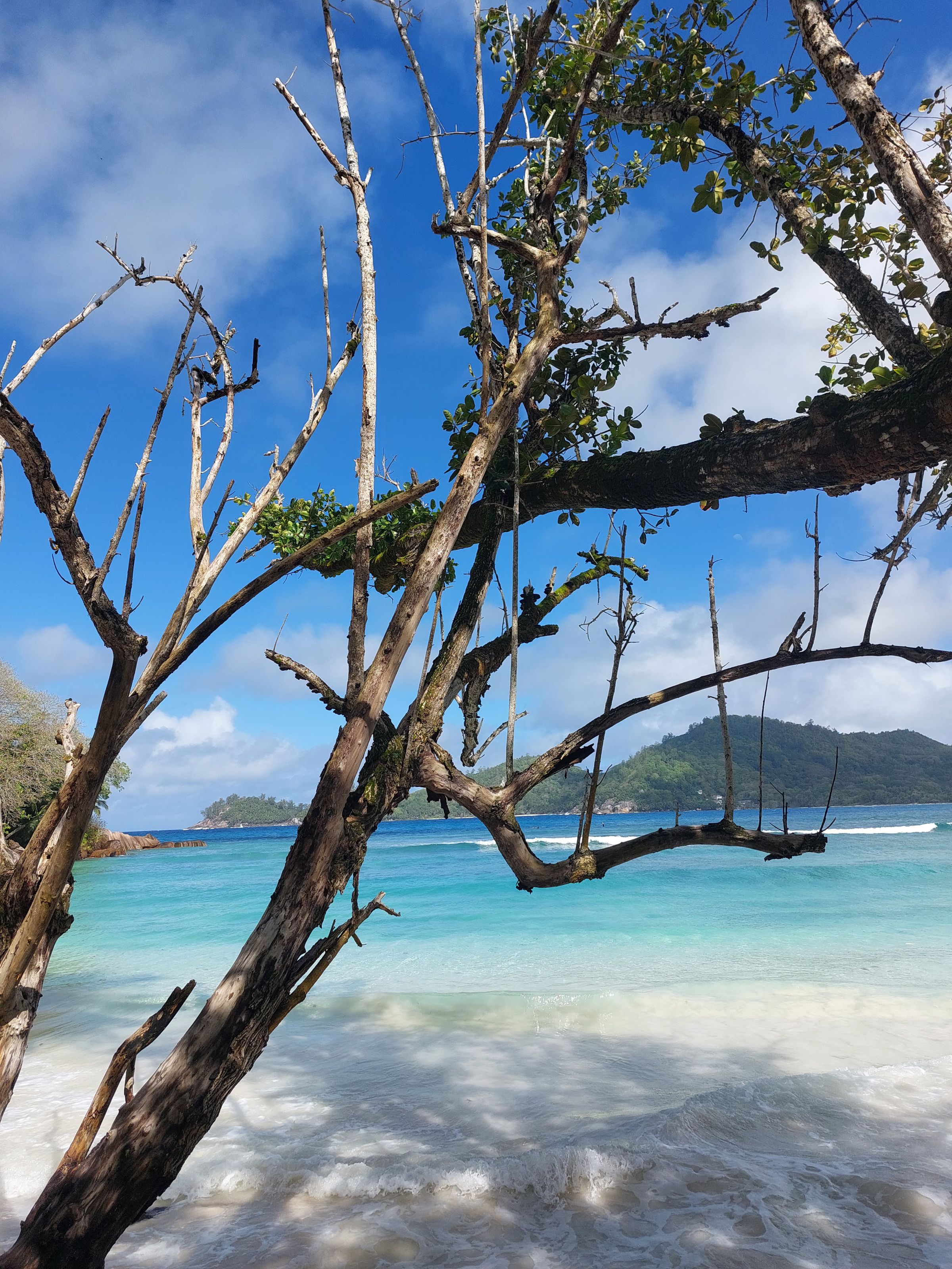 Tour Mahe, Seychelles's image