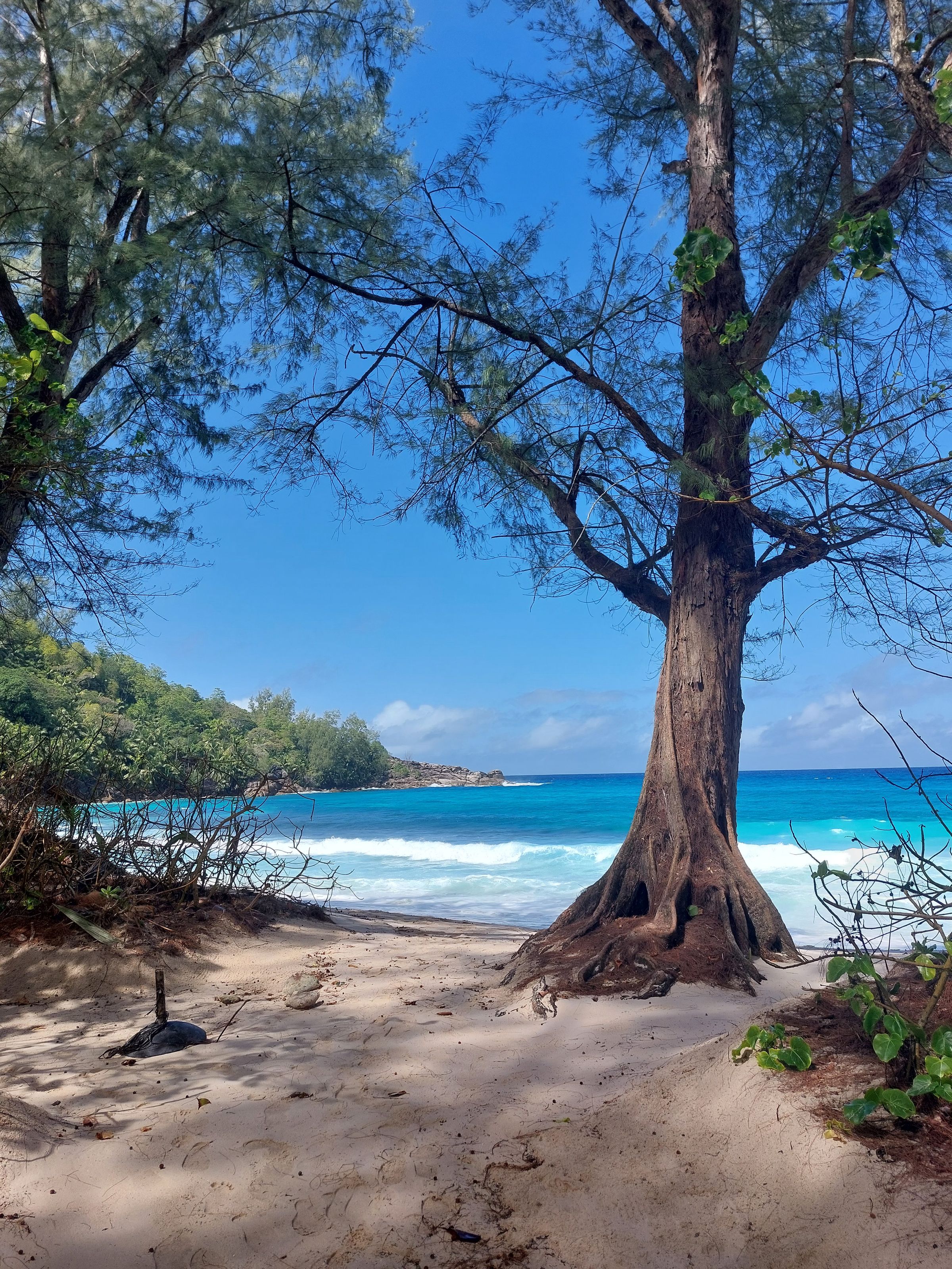 Tour Mahe, Seychelles's image