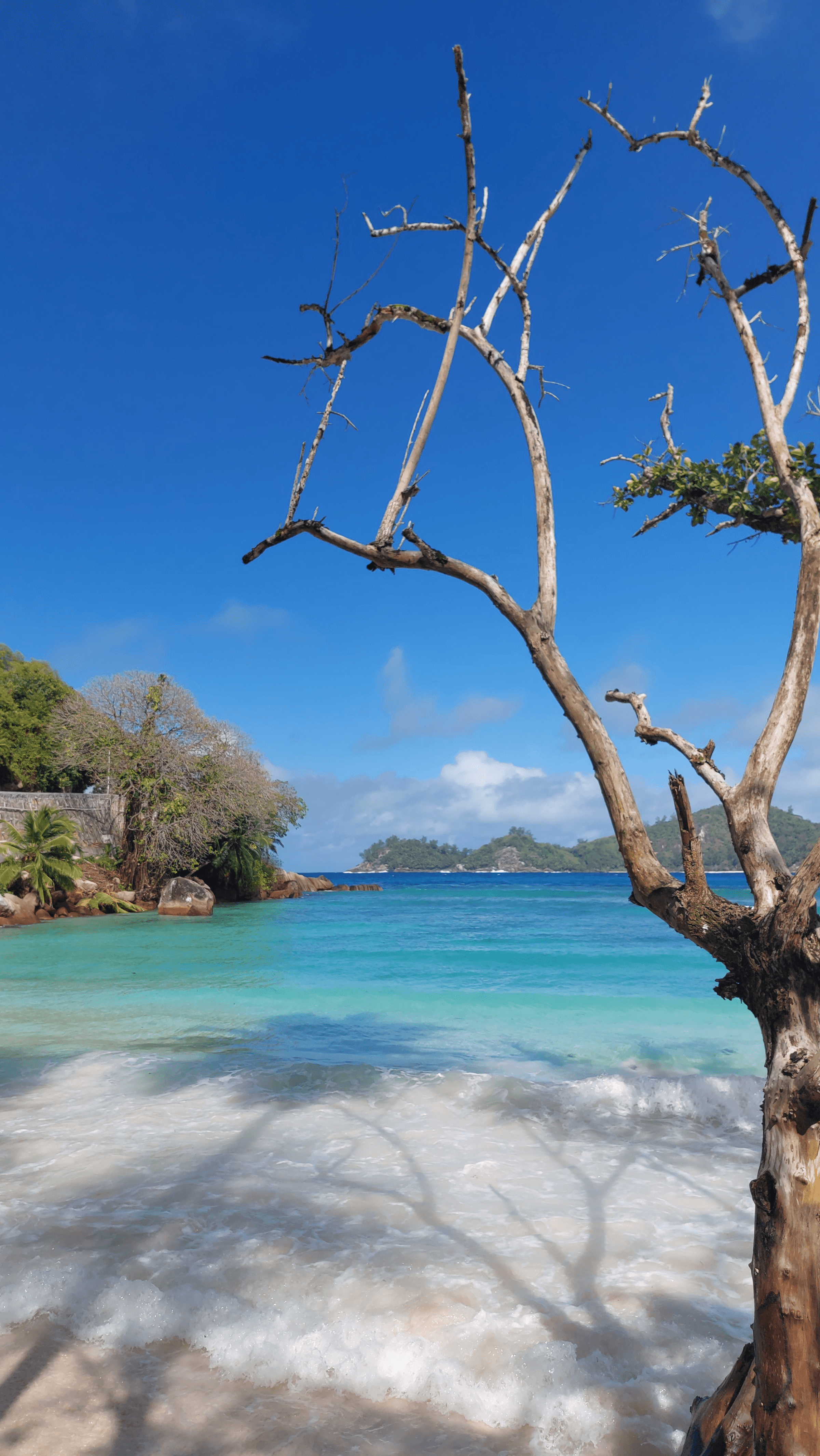 Tour Mahe, Seychelles's image