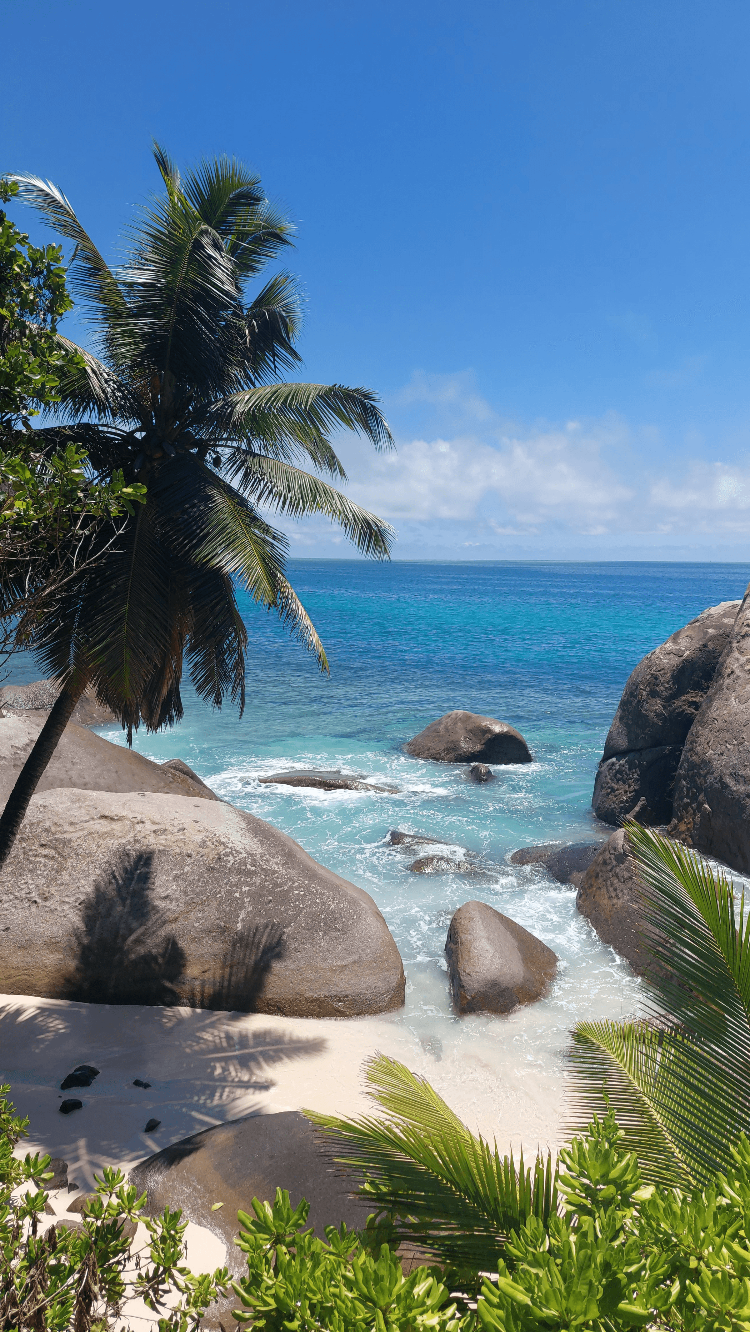 Tour Mahe, Seychelles's image