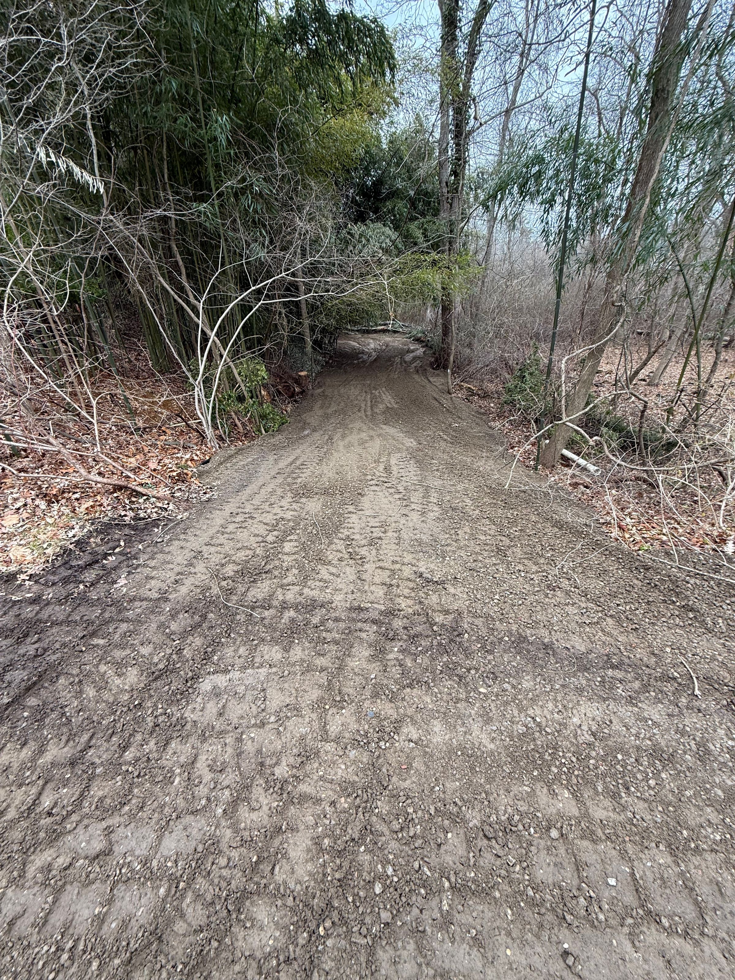 land cleared for additional gravel driveway