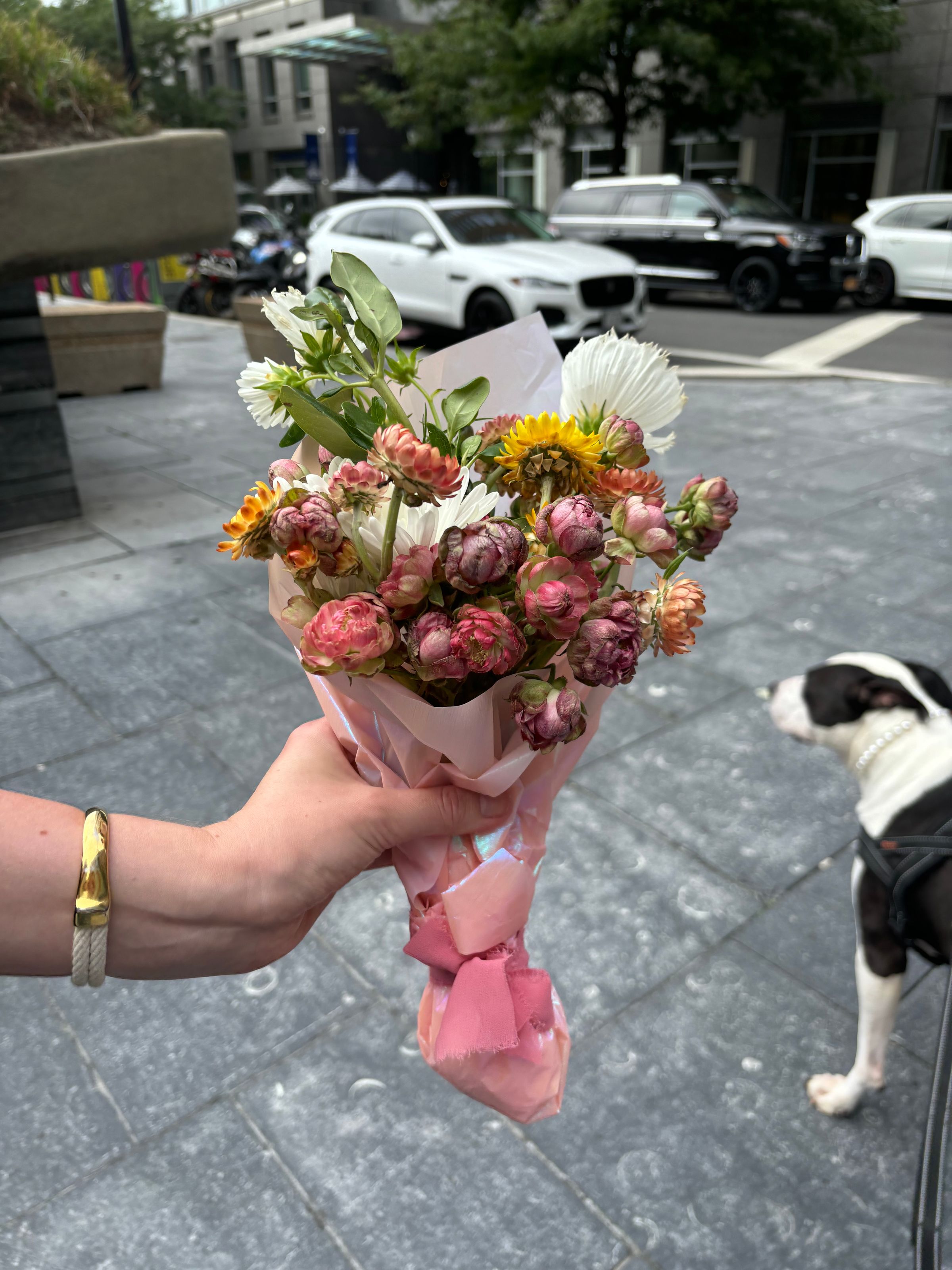 DIWATA FLOWERS's image