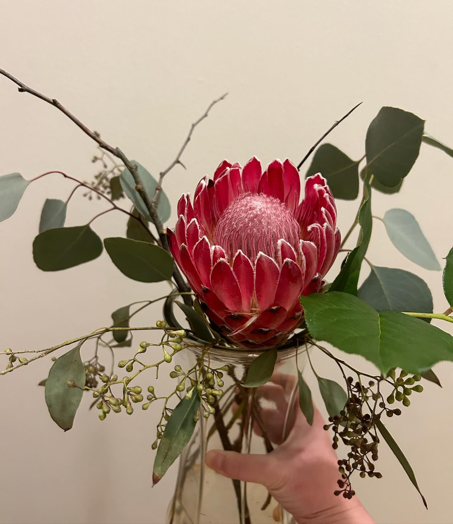 DIWATA FLOWERS's image