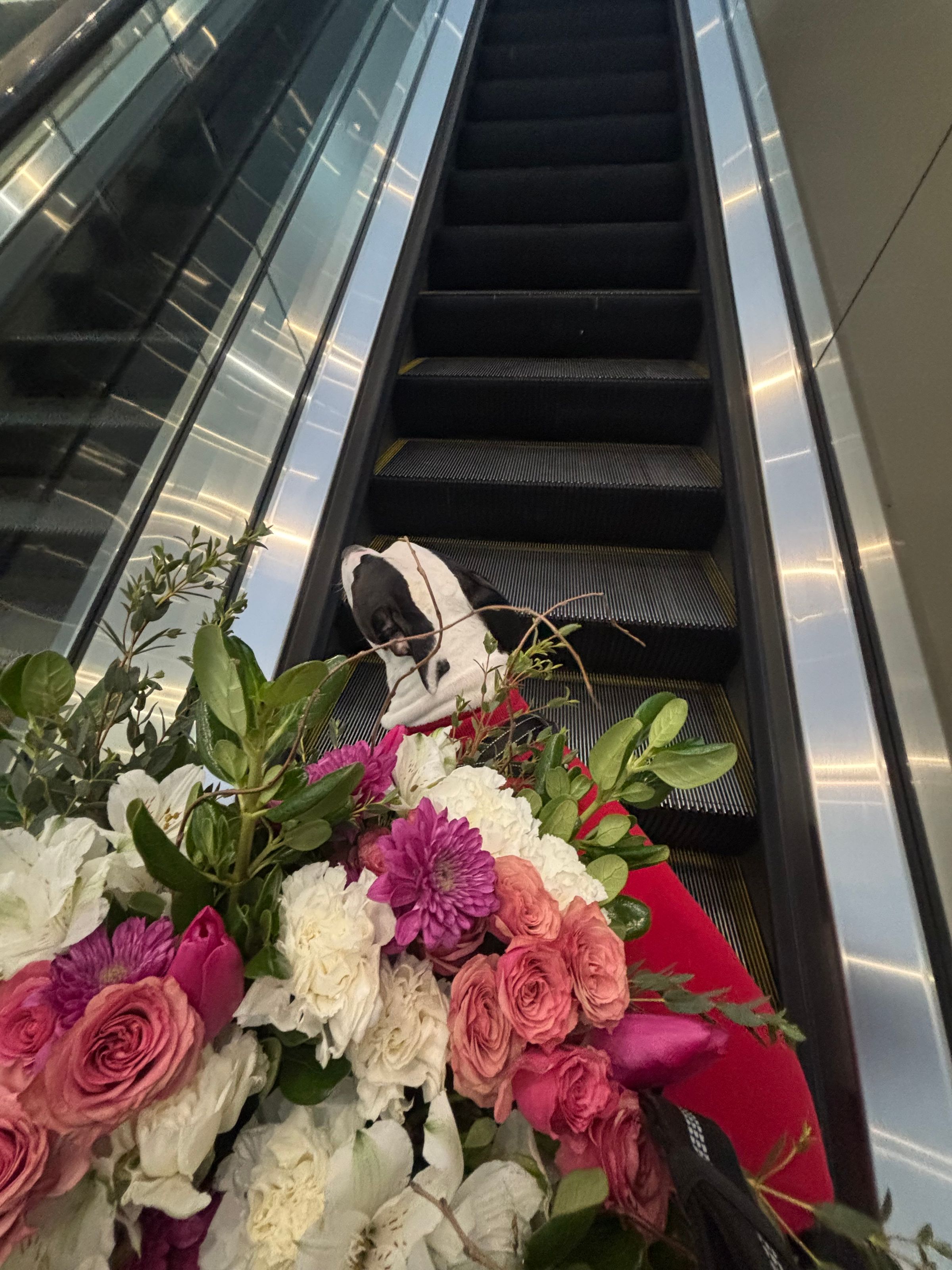 DIWATA FLOWERS's image