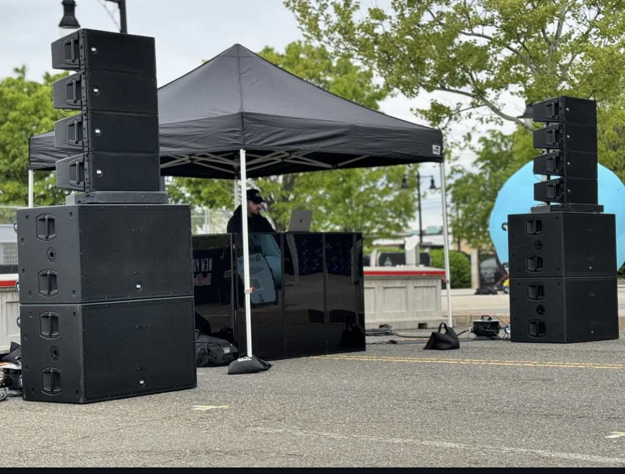 Professional DJ Services in Jamaica 's image