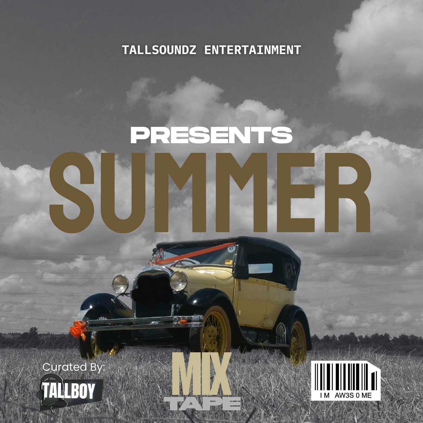 Professional DJ Services in Jamaica 's image