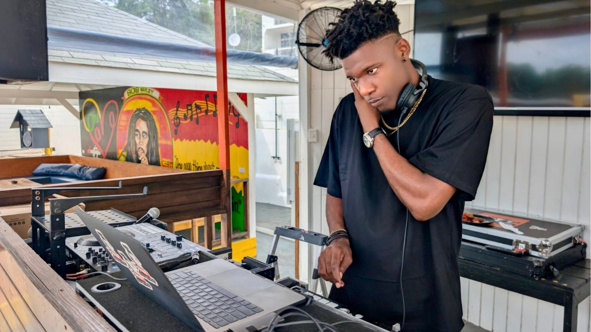 Professional DJ Services in Jamaica 's image