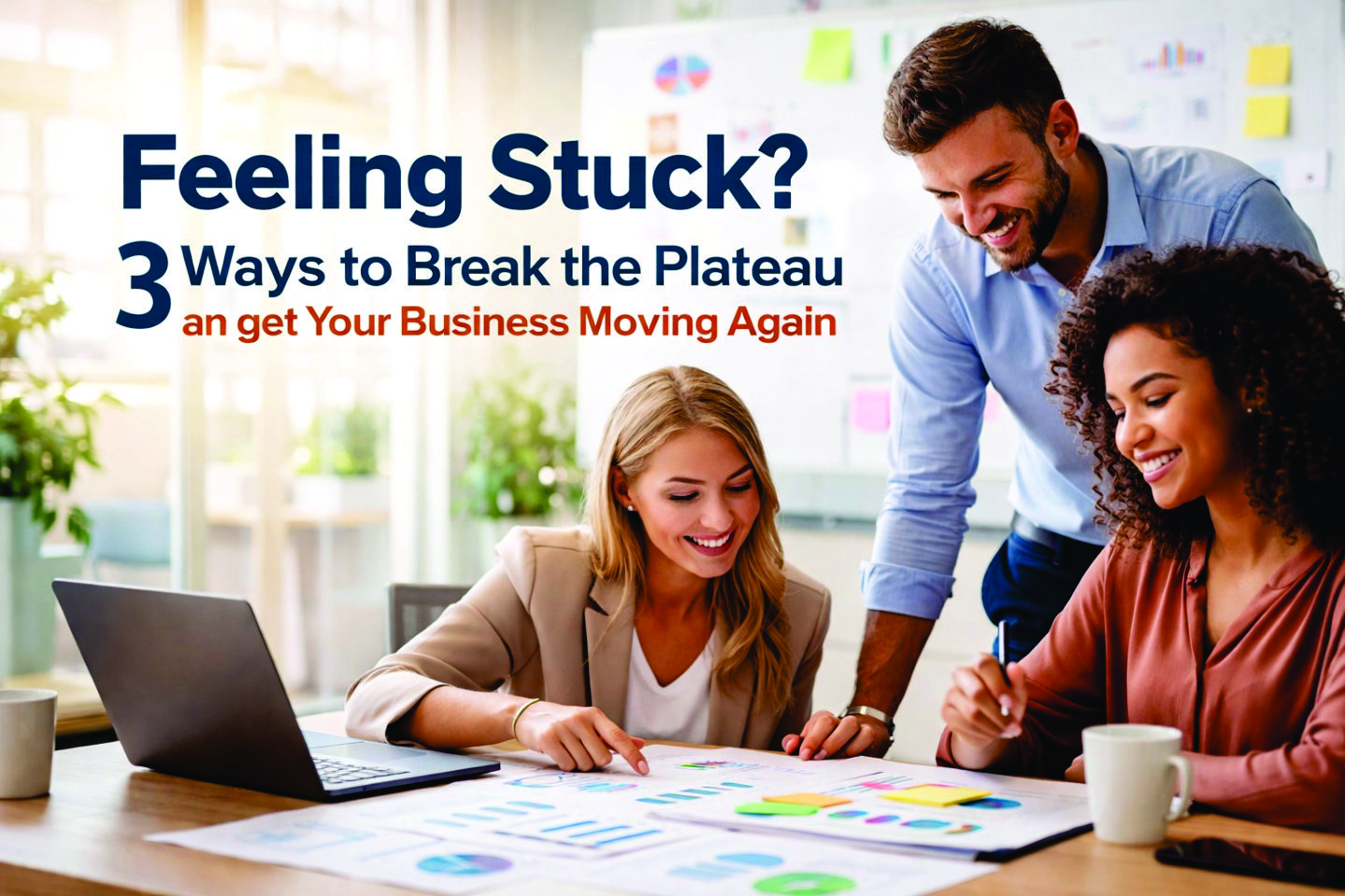 Small Business Consulting Services  Startup Plans & Rescue's image