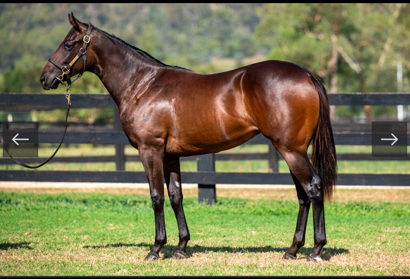 Kearney racing's image