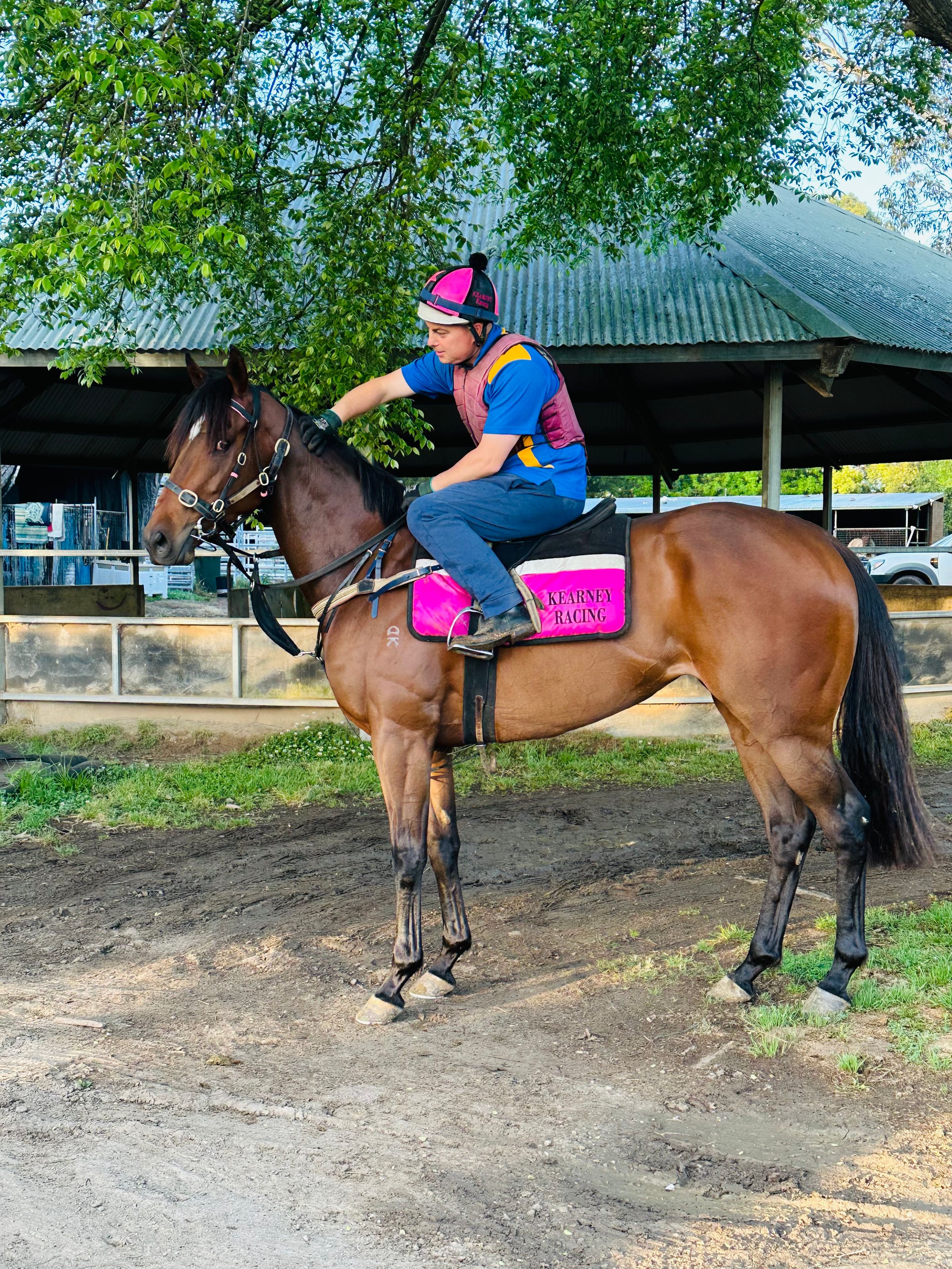 Kearney racing's image