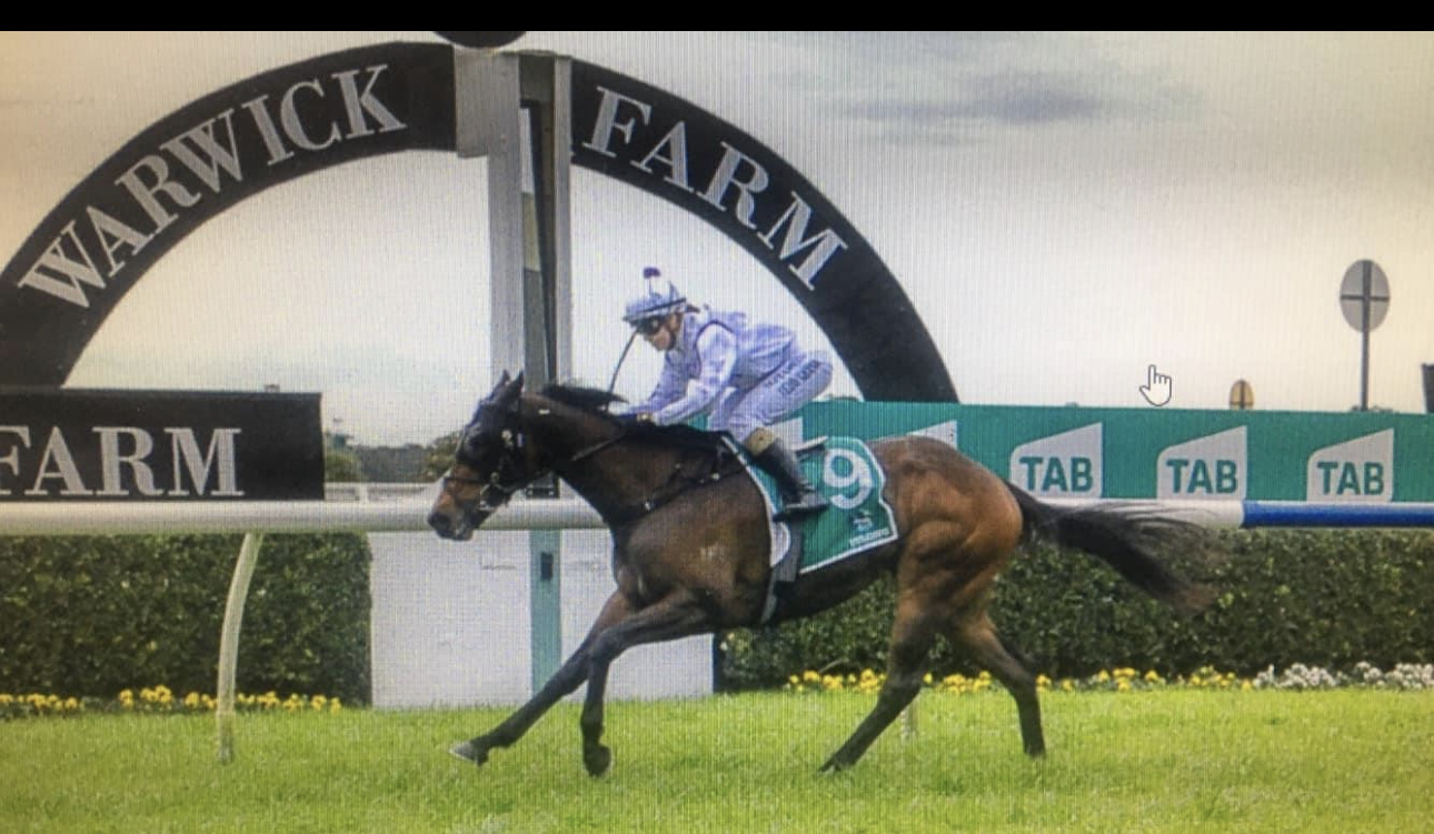 Kearney racing's image