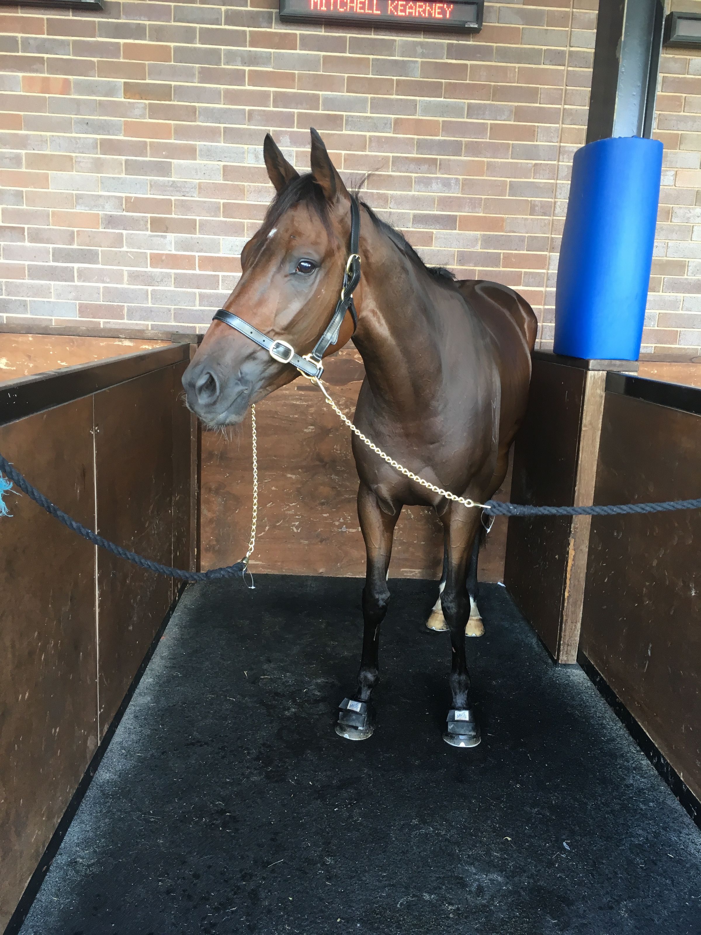 Kearney racing's image