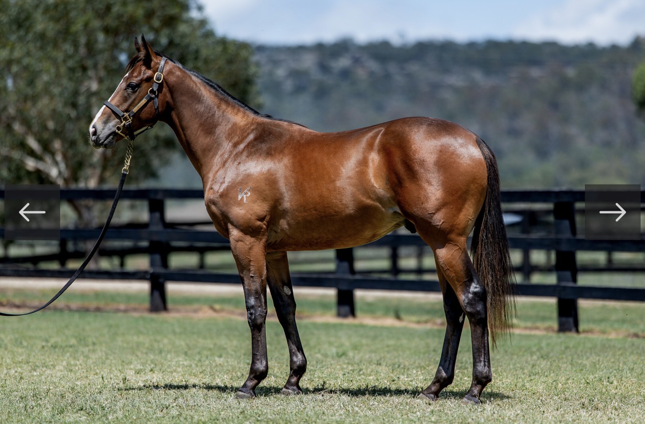 Kearney racing's image