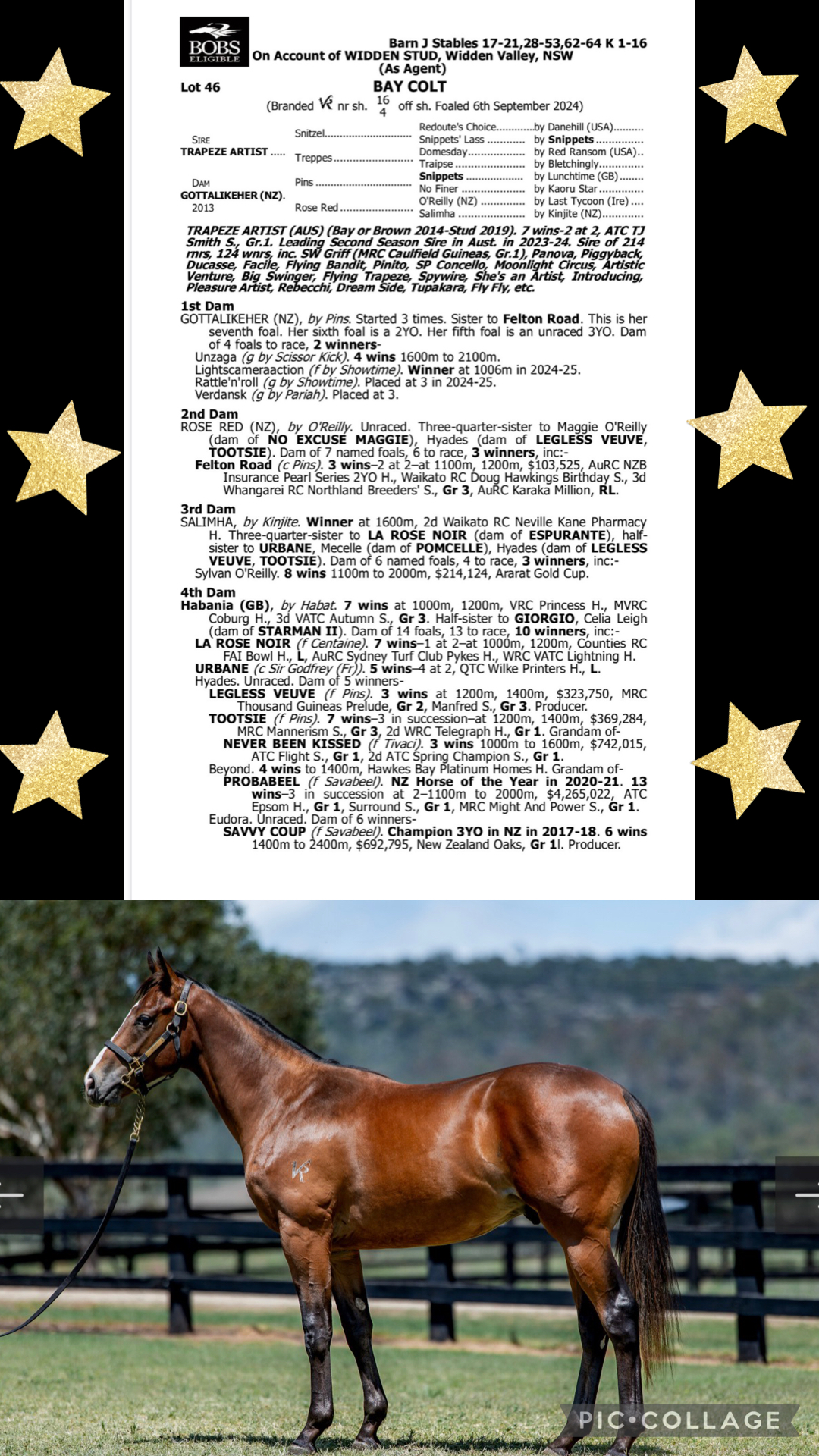 Kearney racing's image