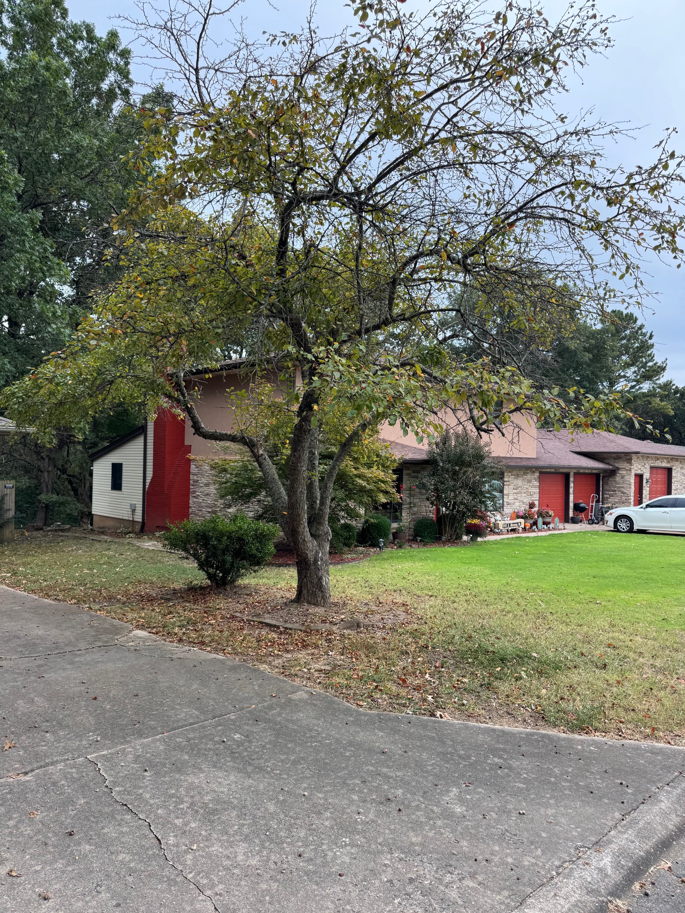 Owl Creek Land Services's image