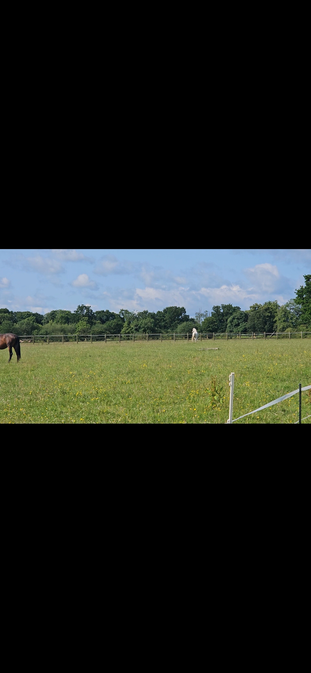 CL Equestrian Centre's image