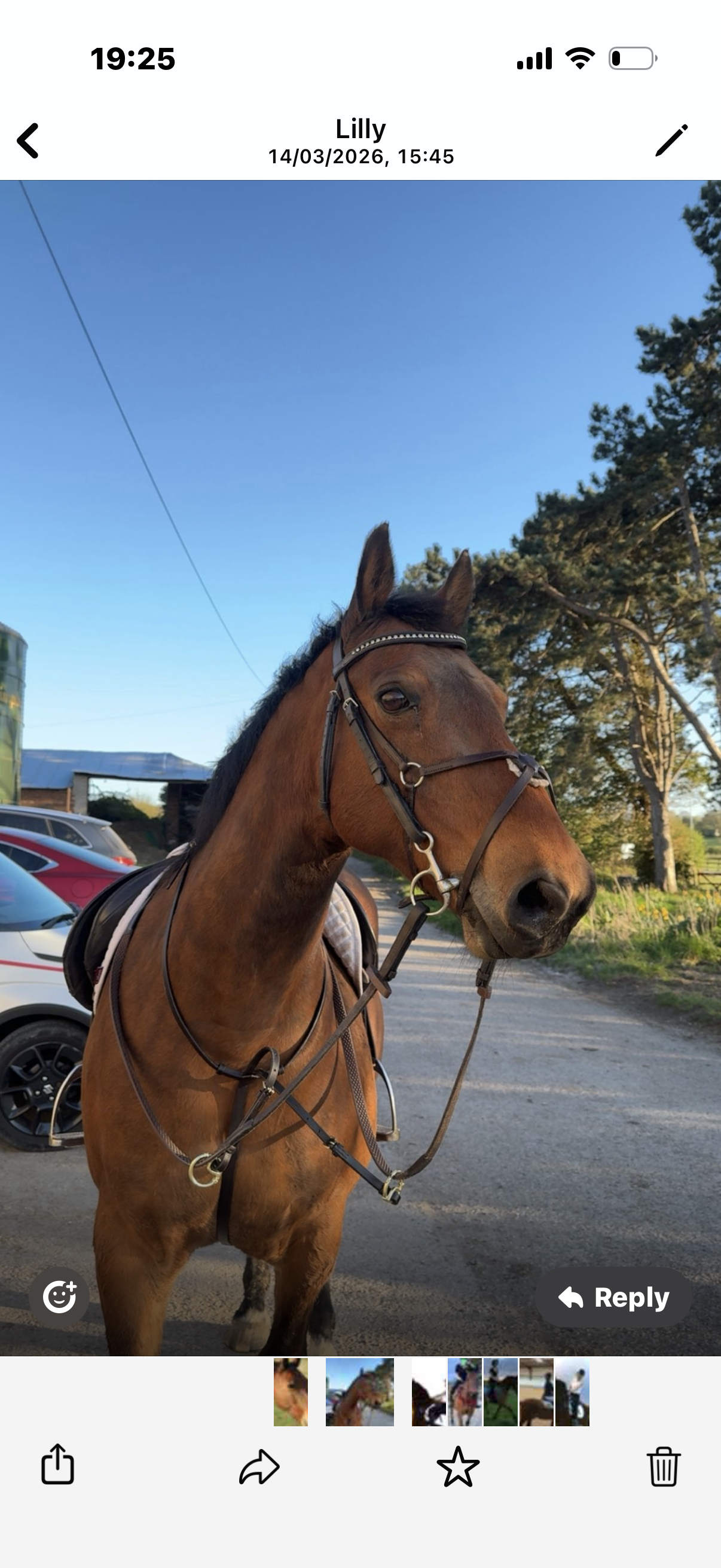 C L Equestrian Centre Ltd's image