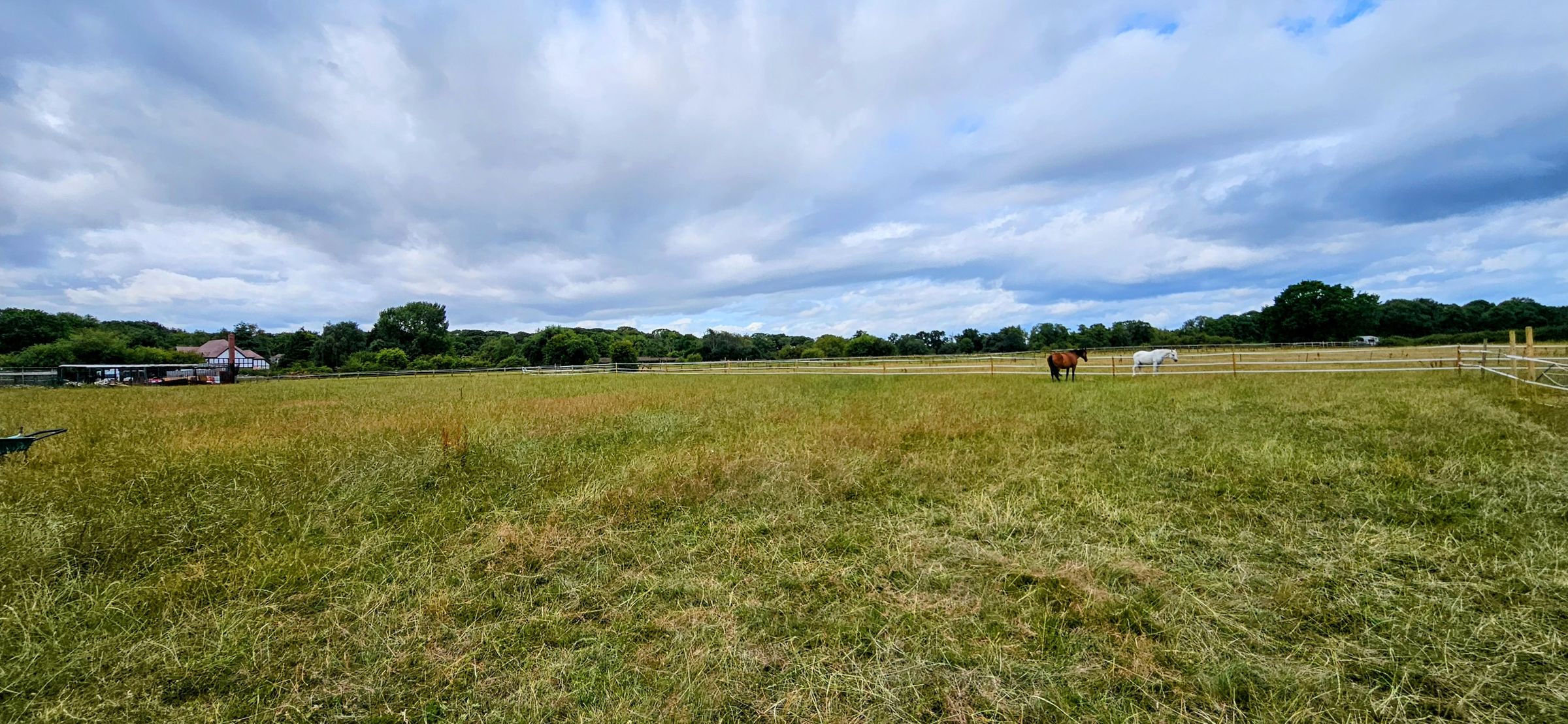 CL Equestrian Centre's image