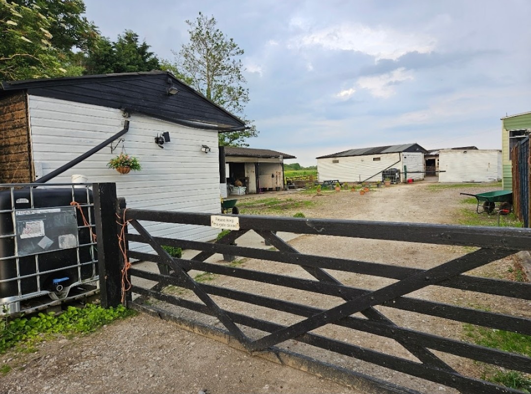 CL Equestrian Centre's image