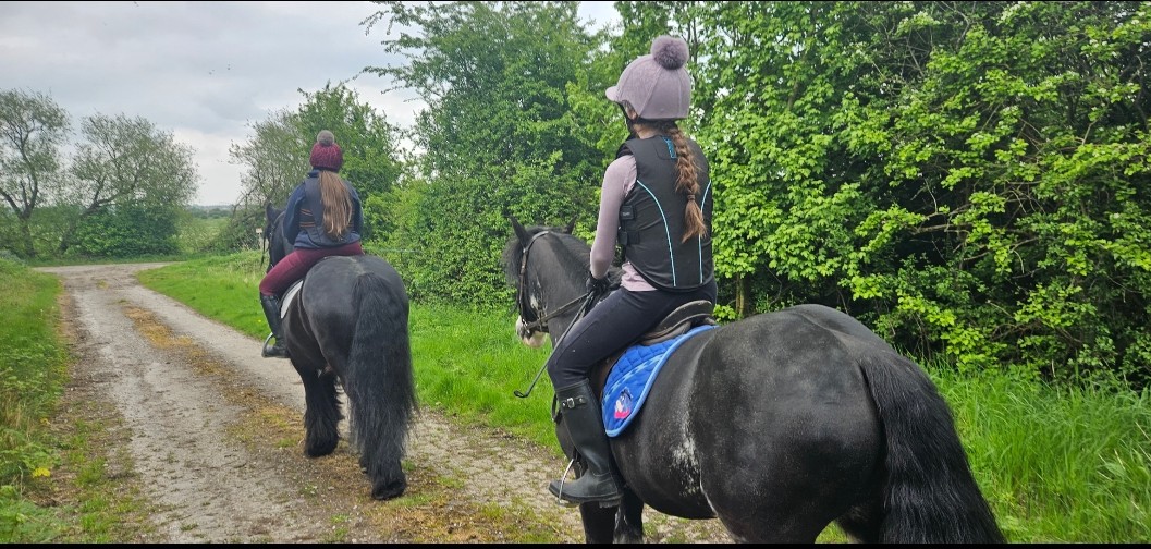 CL Equestrian Centre's image