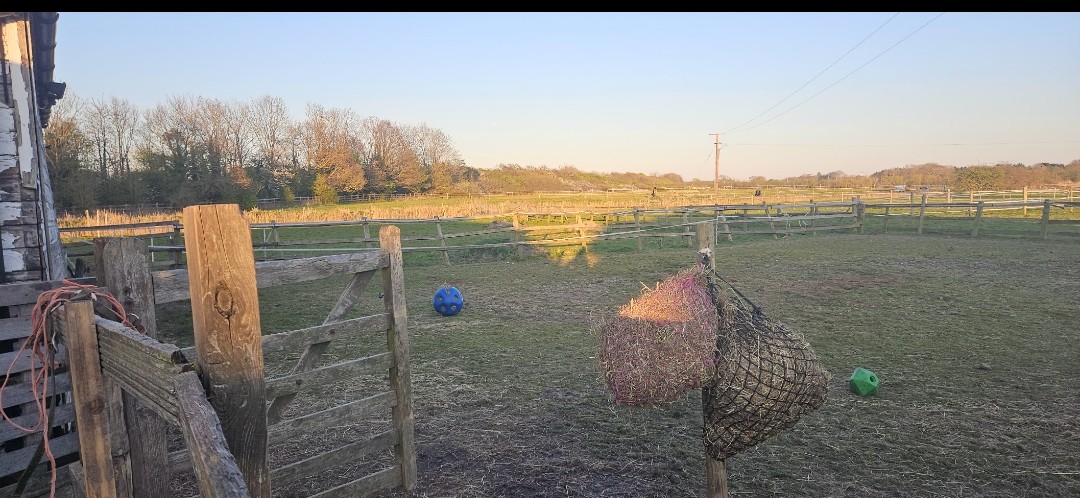 CL Equestrian Centre's image
