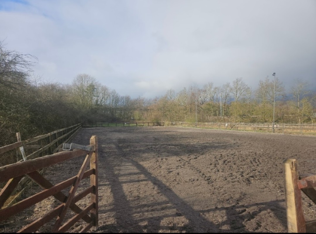 CL Equestrian Centre's image