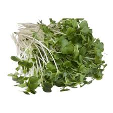 Nourish Microgreens's image