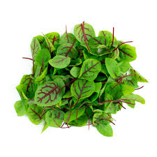Nourish Microgreens's image