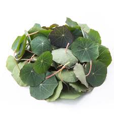 Nourish Microgreens's image