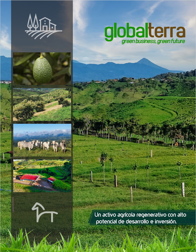 Dossier Globalterra