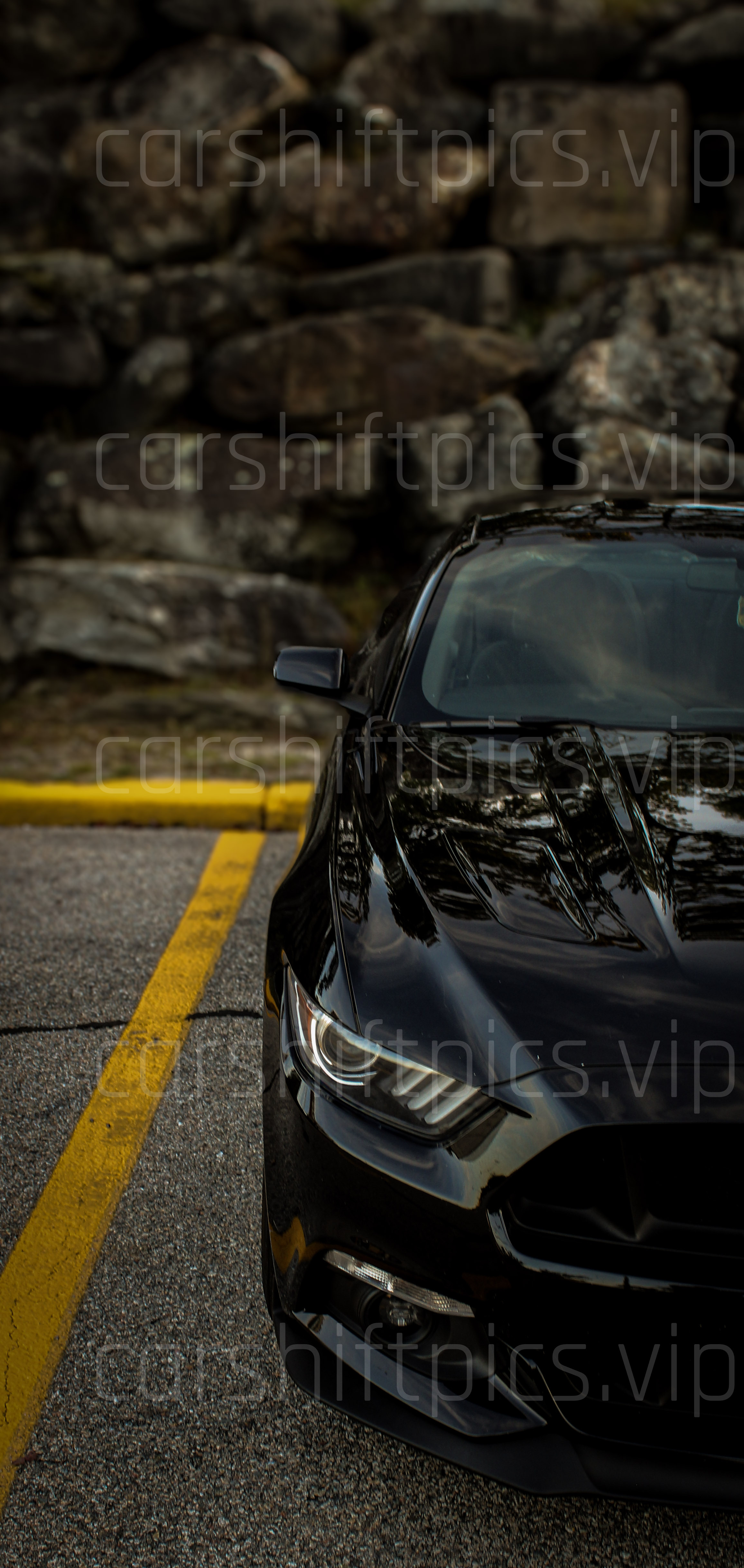 carshiftpics's image